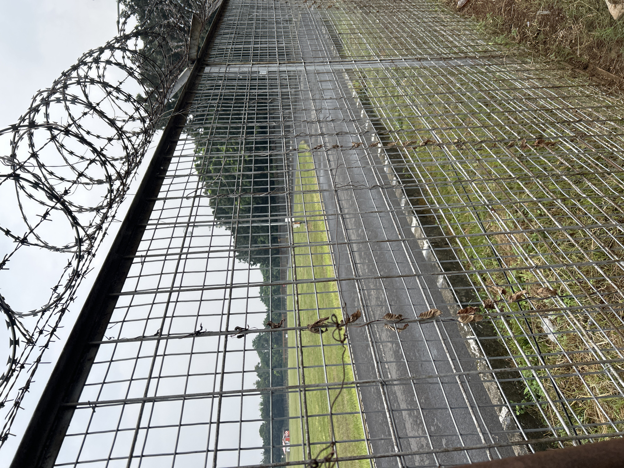 The image shows a security fence with barbed wire, which is common in areas requiring restricted access. The fence is made of metal mesh and has a metallic sheen. The barbed wire is coiled and sharp, suggesting a high level of security.
Beyond the fence, a paved road runs alongside a grassy field. The field is green and appears to be well-maintained, possibly part of a sports facility or park. In the distance, trees line the horizon, indicating a natural or semi-natural environment. The sky is overcast, suggesting a cloudy or possibly rainy day.
The overall scene conveys a sense of security and potentially isolation due to the presence of the fence. There are no people visible in the image, and no text is present. The image appears to be taken from a slightly elevated angle, looking down towards the road and field. The orientation of the image is portrait, with the top of the image tilted to the left. The context of East Jakarta, Indonesia, suggests this might be a view of a facility or area within that region. The presence of dead leaves on the fence wires might indicate a recent windy or autumnal period, or simply accumulated debris.