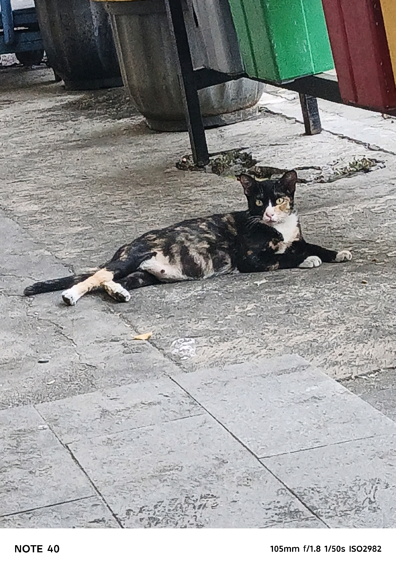 A calico cat is lying on a concrete surface. The cat is predominantly black, with patches of orange and white. Its eyes are open and yellow. The cat is positioned facing towards the left side of the frame, with its body stretched out. Its hind legs are crossed. The concrete surface appears to be a sidewalk or paved area, with visible cracks and variations in texture. In the background, there are large, dark-colored planters, and a portion of a structure with colorful panels in shades of green, red, and yellow is visible. The scene suggests an outdoor urban environment. The metadata indicates the photo was taken with a 105mm lens at f/1.8, with a shutter speed of 1/50s and an ISO of 2982. The text "NOTE 40" is also present in the image. The location is specified as North Jakarta, Indonesia.