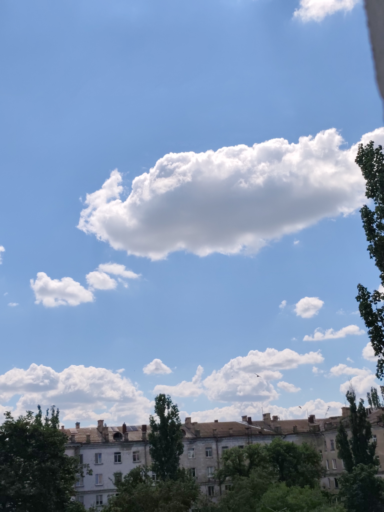 The image depicts a city skyline with a bright blue sky and white clouds. In the foreground, the tops of several buildings are visible, characterized by tiled roofs and multiple windows. Mature green trees are interspersed throughout the lower part of the frame, obscuring some of the building details. The overall scene suggests a daytime view, possibly from an elevated perspective, looking over a residential or urban area. The style of the buildings hints at Eastern European architecture. The specific location in Mykolaiv, Ukraine, is not definitively identifiable from visual cues alone, but the architectural style is consistent with buildings found in that region.