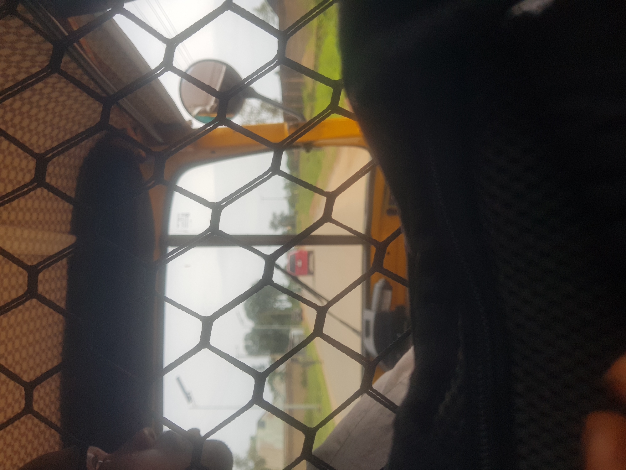 The image, taken from inside a vehicle, shows a view through a diamond-patterned mesh. Outside, a two-lane paved road stretches into the distance, bordered by green grass and some buildings. A red car is visible on the road, moving away from the viewer. The sky is overcast, suggesting a cloudy day. Part of the interior of the vehicle, including a dark-colored bag, is in the foreground.