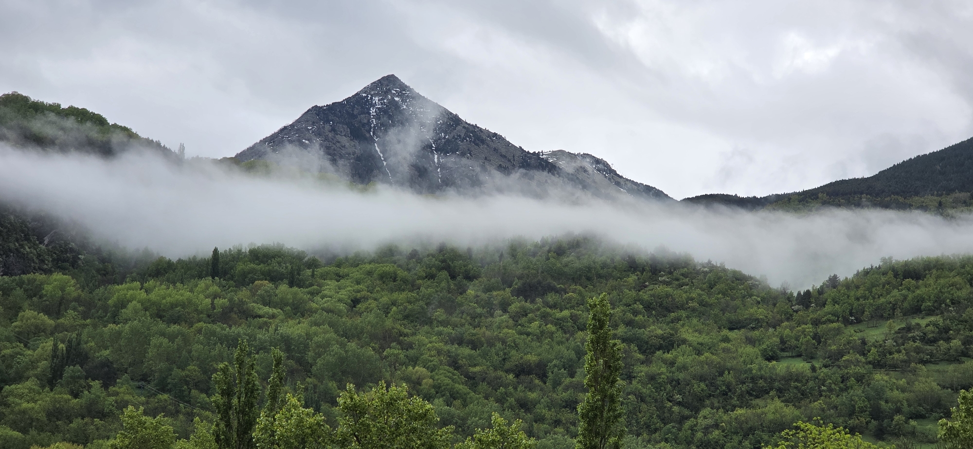 The photograph presents a mountainous landscape near Benasque, Spain, characterized by a mix of vegetation and atmospheric conditions. In the foreground, a dense forest of green trees covers the lower slopes, transitioning into a thick blanket of low-lying fog that partially obscures the middle ground. Above the fog, a prominent, rocky mountain peak rises, featuring dark stone interspersed with patches of snow. The sky is overcast with grey clouds, contributing to a diffused light across the scene.
