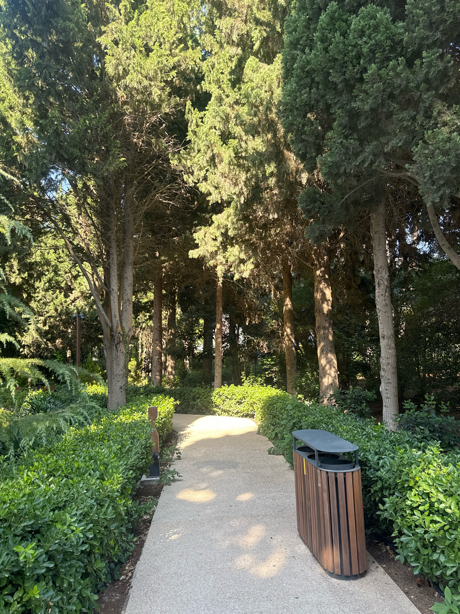 The image depicts a sunlit pathway in a park. The pathway is paved with a light-colored, textured material and curves gently to the right, disappearing into the distance. On the right side of the path, a modern trash receptacle with a dark gray top and a slatted wooden base stands prominently. The area is bordered by neatly trimmed, dense green bushes.
Lining the pathway on both sides are mature trees with slender trunks and abundant green foliage, casting dappled shadows on the ground. The trees appear to be coniferous, possibly cypress or pine varieties, and create a sense of depth and a canopy overhead. In the background, more trees and dense greenery are visible, suggesting a well-maintained natural environment. A faint lamppost can be seen to the left of the pathway, partially obscured by the bushes. The lighting suggests it is daytime, with sunlight filtering through the trees. The location is identified as Sabail Raion, Azerbaijan.