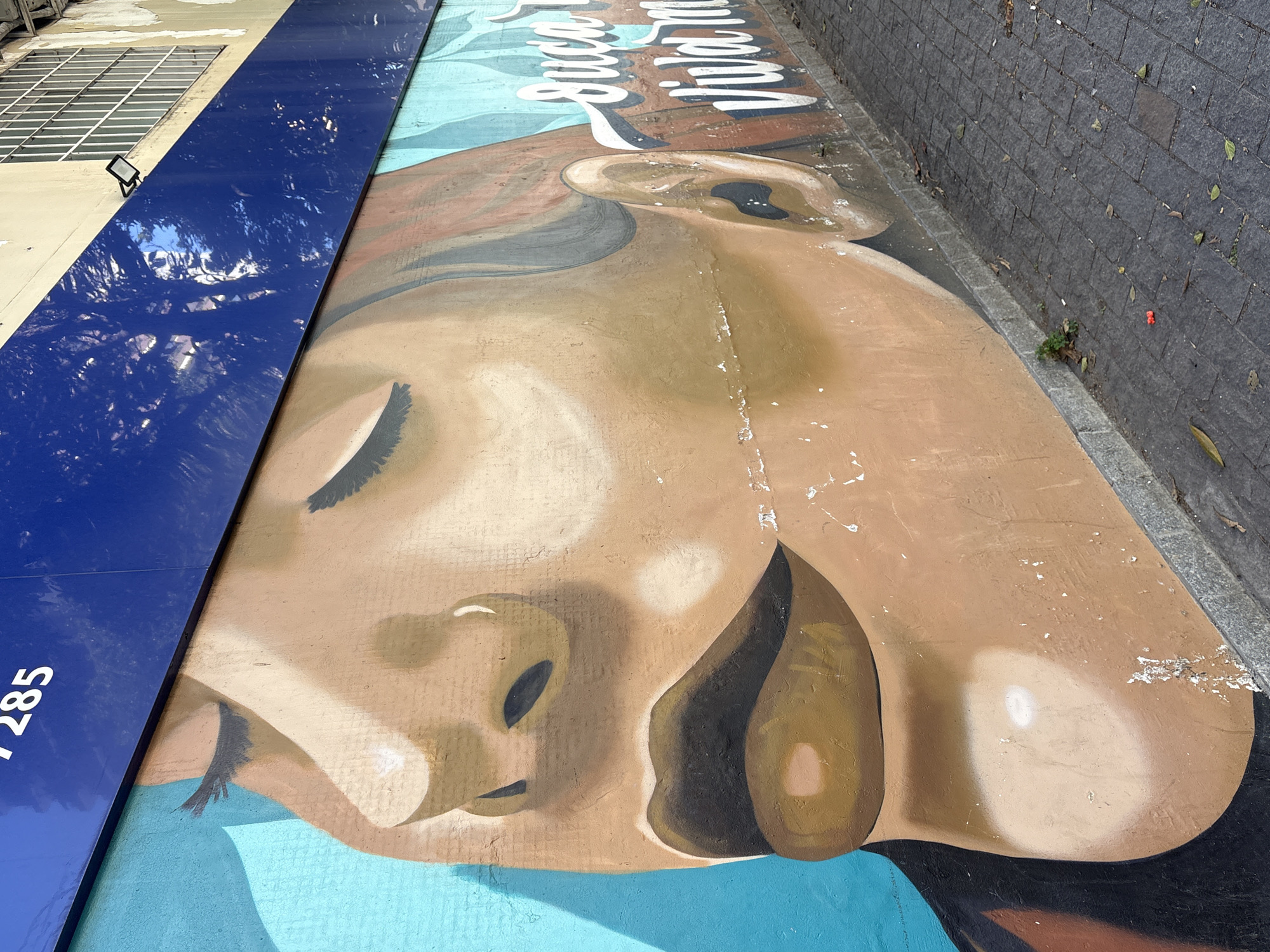 This is a medium-angle, outdoor, eye-level shot of a mural painted on a wall in the city of São Paulo, Brazil. The mural depicts a close-up of a woman's face, with her eyes closed and her head tilted slightly upwards and to the left. She has brown skin, dark lips, and dark eyelashes. The mural uses a palette of earthy tones, blues, and browns. To the right of the face, a portion of text in white script is visible, appearing to read "juca vida m". A blue sign with white numbers "7285" is positioned above the mural. The wall itself is textured and appears weathered in places. In the background, a section of a building with barred windows and a light fixture is visible. The ground in front of the mural is paved with dark grey interlocking stones, and scattered leaves and some litter are present.
