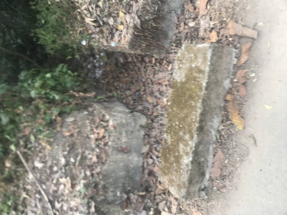 This outdoor image, rotated 90 degrees clockwise from its original orientation, depicts a ground-level view of an area in Umudike, Nigeria. No people or animals are visible in the scene.
The primary subjects are several concrete blocks, likely serving as steps or the edging of a drainage channel. The most prominent concrete block, positioned in the mid-right, is light grey and heavily discolored with greenish-brown moss and algae growth. Behind it and to the left, a smaller, darker concrete block is partially visible, with further indistinct concrete structures blending into the background.
The ground surface is largely covered by a dense layer of dried brown leaves and dirt, particularly around and between the concrete elements. On the left side of the frame, there is an abundance of lush green foliage and dense bushes, indicating thick vegetation. To the far right, a lighter, smoother surface is visible, suggesting the edge of a path or an open ground area.
Small, light-colored pieces of litter, possibly plastic wrappers or paper, are scattered among the fallen leaves in the background, near the dense vegetation. The lighting is diffused, implying daytime conditions, possibly overcast or within a shaded area. There is no specific activity or event taking place, and no visible text or discernible emotions are present. The scene conveys a somewhat rustic and natural outdoor environment, showing signs of both natural growth and human modification/presence.
