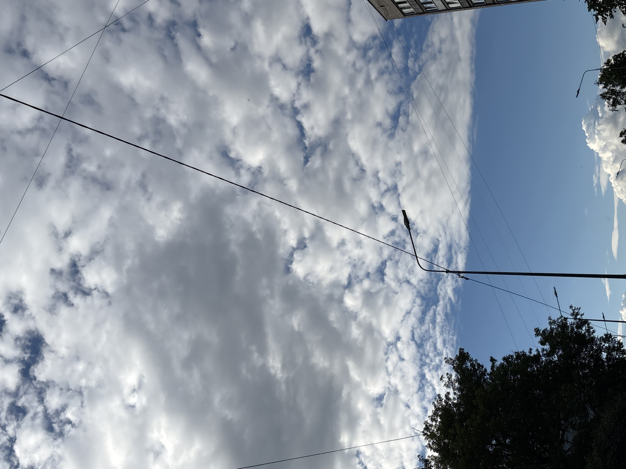 This is a low-angle, outdoor, vertical shot of a cloudy sky, likely taken in Saint Petersburg, Russia. The sky is a mixture of blue sky and white, puffy clouds, with some darker, more ominous clouds towards the left of the frame. A few power lines crisscross the sky, and a street lamp is visible in the upper right quadrant. A dark silhouette of trees occupies the bottom right of the image, with the top of a building visible in the upper left. The lighting suggests it is daytime, possibly late afternoon, given the mix of bright and darker clouds. No people or specific activities are depicted. The image evokes a sense of an ordinary day in an urban environment, with the natural elements of the sky juxtaposed against man-made structures. There is no visible text in the image.