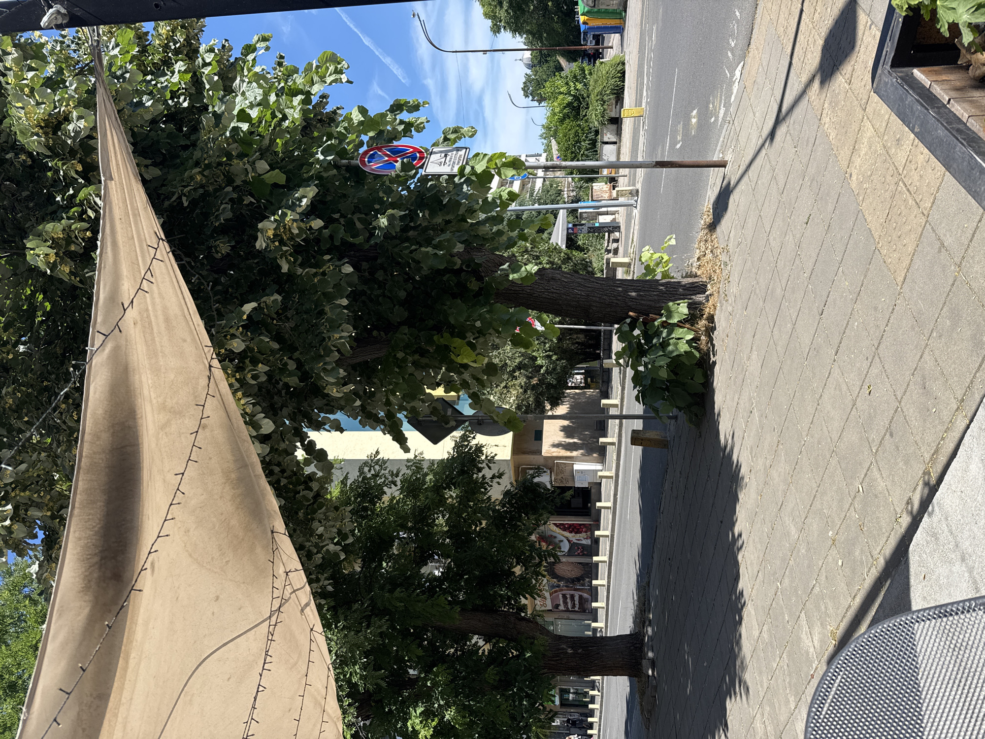 A street scene in Burgas, Bulgaria, is captured from a slightly elevated perspective. In the foreground, a large, light-brown canvas awning with decorative string lights stretches across the frame. Behind it, lush green trees with dense foliage dominate the left side of the image, their branches reaching upwards.
The middle ground reveals a paved sidewalk and a street. A street sign with a red circle and a diagonal line, indicating "no stopping," is visible among the trees. Further down the street, a building with a light yellow facade and dark-framed windows can be seen, with storefronts displaying images of food items, likely a bakery or restaurant. A row of small white bollards lines the edge of the sidewalk next to the street.
The background shows more trees and greenery, with a blue sky dotted with wispy white clouds overhead. The lighting suggests it is a sunny day. The overall mood is one of a typical urban street, possibly in a commercial area, on a clear day. There is no discernible activity or people prominently featured in the image, but the setting suggests a public space. Some text is visible on the street signs and the building's storefronts, but it is not legible at this resolution. The time of day appears to be daytime, likely late morning or afternoon, given the strong shadows cast by the trees and awning.