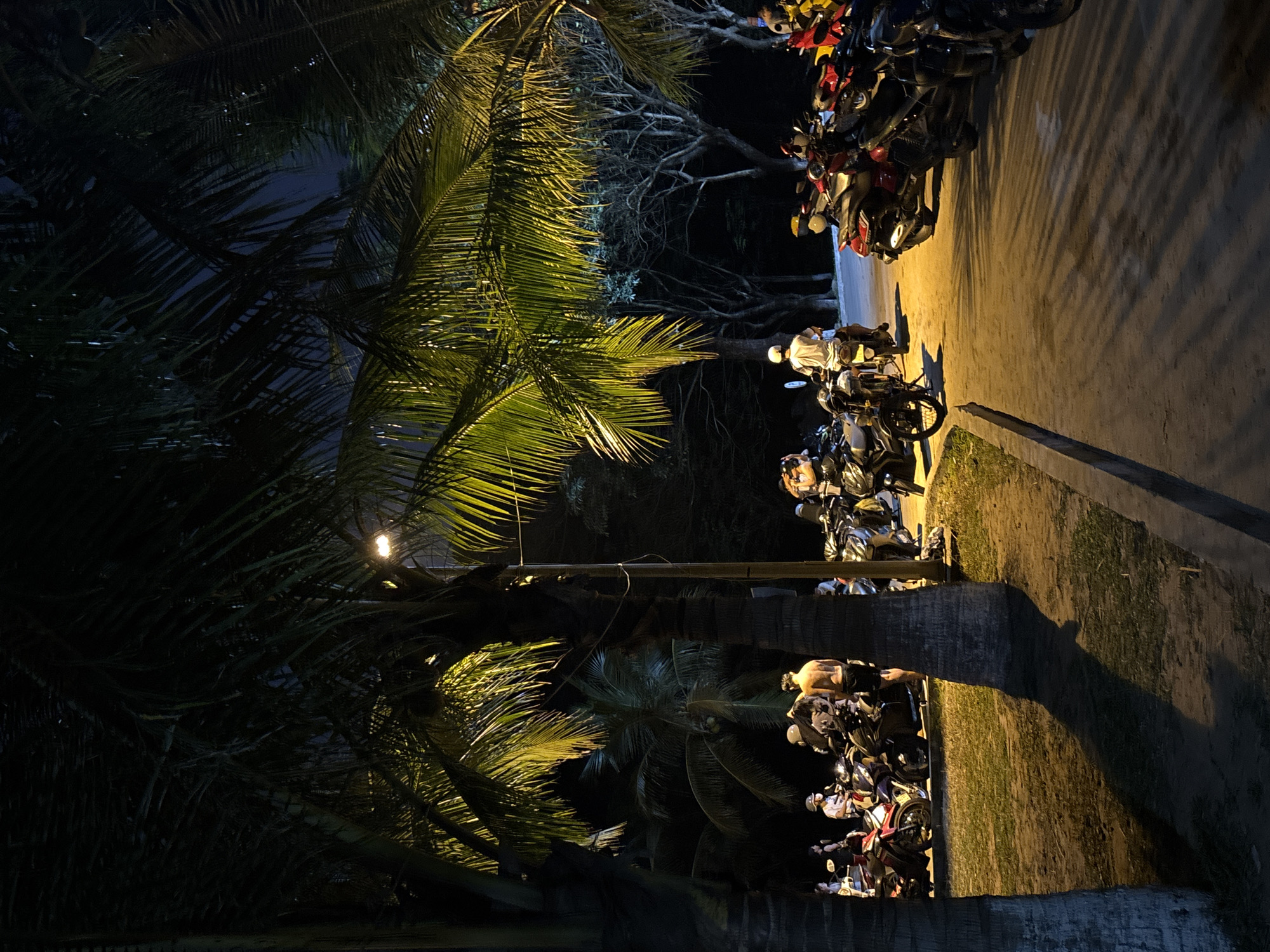 The image shows a dimly lit street scene at night. On the right side of the image is a line of parked motorbikes, illuminated by streetlights. Palm trees line the left side of the road, their fronds casting shadows. The scene appears to be a motorbike parking area. The location is Đà Nẵng, Vietnam, based on the common sight of motorbike parking and palm trees along the roadside. There are some people in the image sitting or standing near the motorbikes. The general environment is urban.