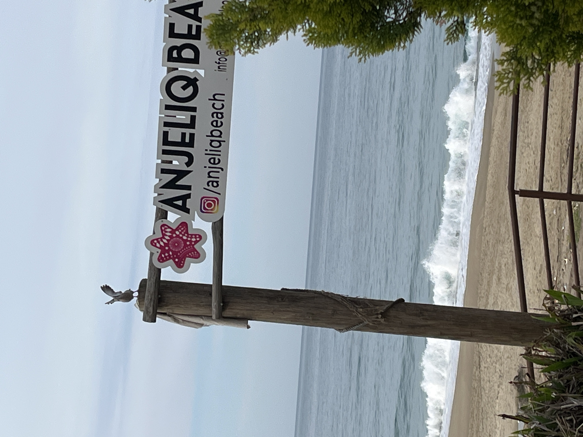The image shows a beach scene. A sign post that says "Anjelik Beach" in large letters and a pink starfish is in the foreground. A bird is flying next to the sign. The background shows a beach with sand, waves crashing on the shore, and the ocean. There's foliage partially obscuring the scene on the sides. The beach is located in Alanya, Turkey, as identified by the name on the sign.