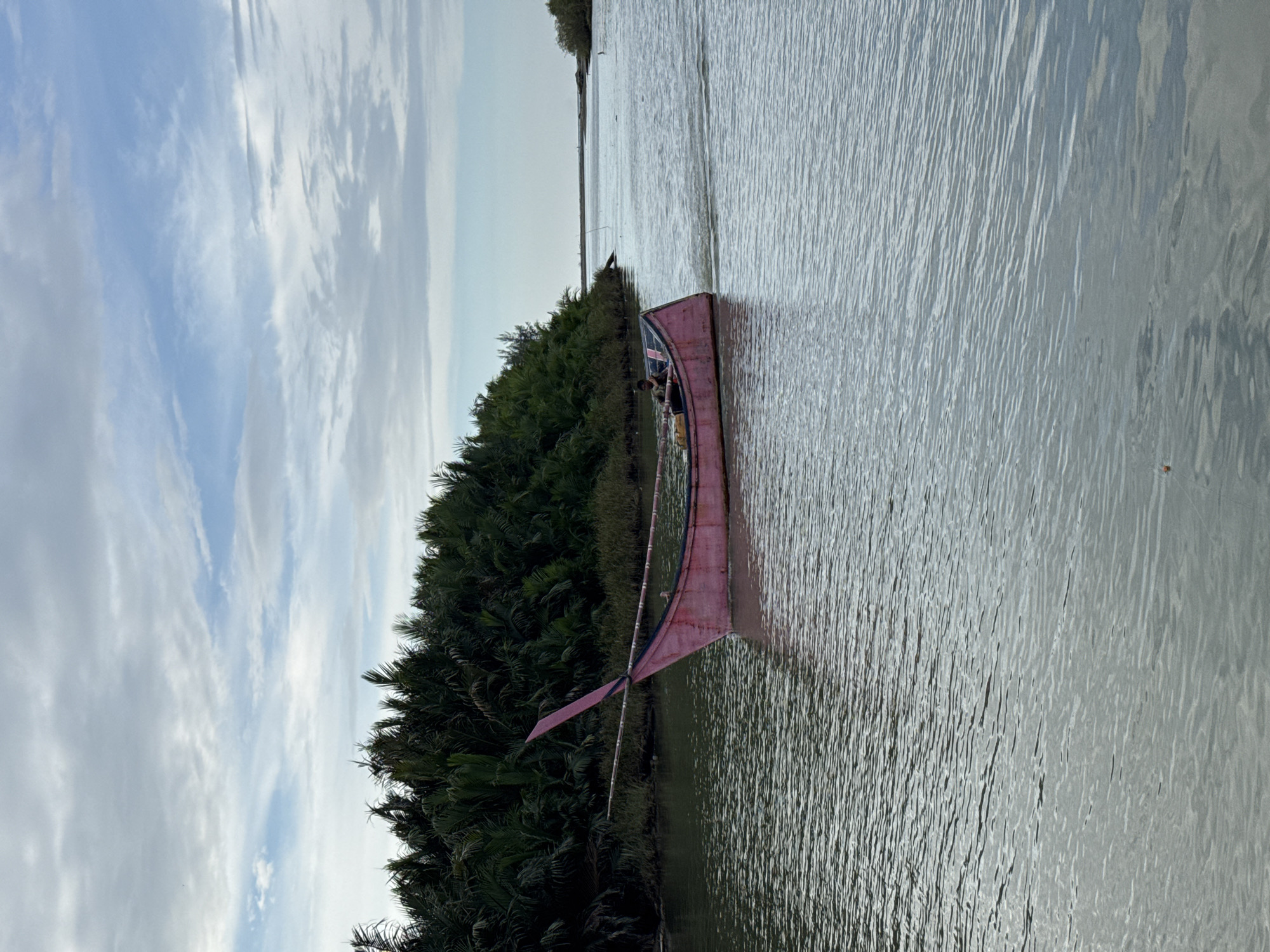 This is a landscape photograph taken in Rhieng Mancang, Indonesia. The image features a pink boat with a pointed bow and stern, resting on calm, rippling water. The boat has a dark blue stripe along its side and a person can be seen inside, holding what appears to be oars. The boat is tethered by a rope to a pink flag or sail attached to a pole.
To the left of the water is a dense, green treeline, likely a mangrove forest, with palm-like fronds visible. Above the treeline, the sky is a soft blue with wispy, white clouds, suggesting it is daytime, possibly late afternoon given the soft light. The water reflects the sky and the trees, creating a serene and tranquil atmosphere. The overall scene depicts a quiet moment by the water, with the boat and its occupant at rest. There is no visible text in the image.