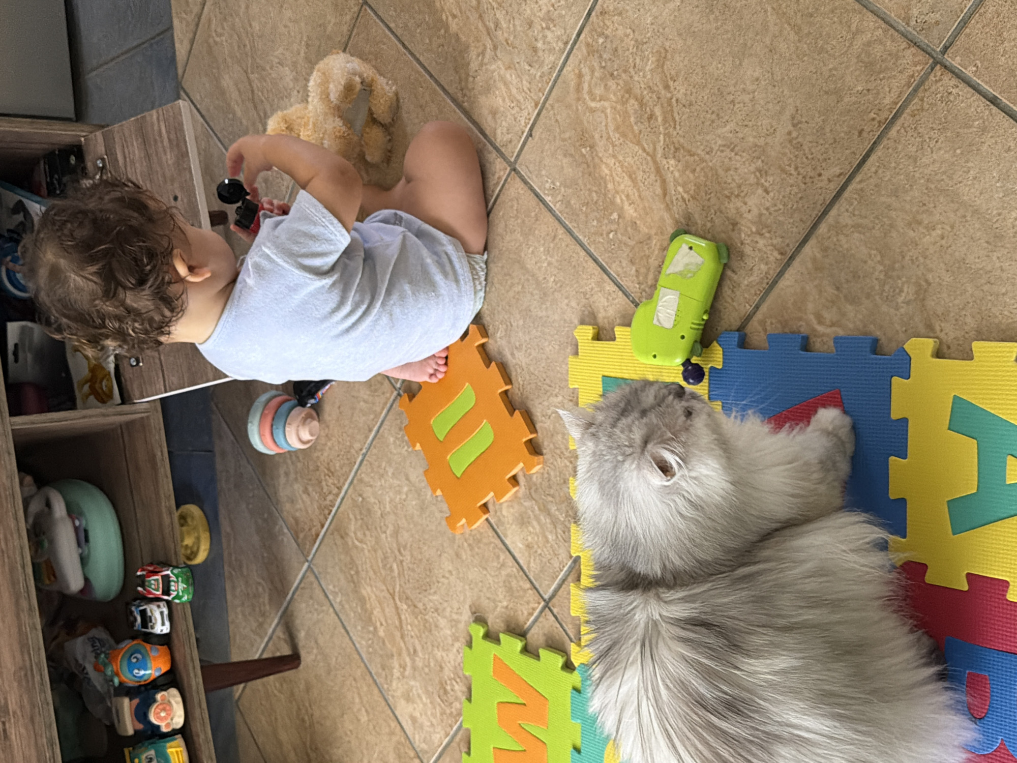 The image depicts an indoor scene, likely a living room, with a young child and a cat as the primary subjects. The child, seen from behind, is seated on the floor, wearing a light blue t-shirt and a diaper. They are actively playing with a small toy, possibly a black and red object held in their right hand, and a teddy bear that is partially visible. To the child's left, there are colorful puzzle mats on the floor, with orange and green puzzle pieces prominently displayed. A fluffy, light gray cat is positioned on the lower left side of the image, lying on a blue and yellow puzzle mat. The cat appears to be resting, with its head turned towards the right. In the background, a wooden shelf unit is visible, containing various small toys, including toy cars. A small green toy car is also present on the floor near the cat and the puzzle mats. The floor is tiled with a beige and brown pattern. The lighting suggests an indoor environment during the daytime. The image does not provide any specific visual cues to pinpoint its exact location within Sharm El Sheikh, Egypt.