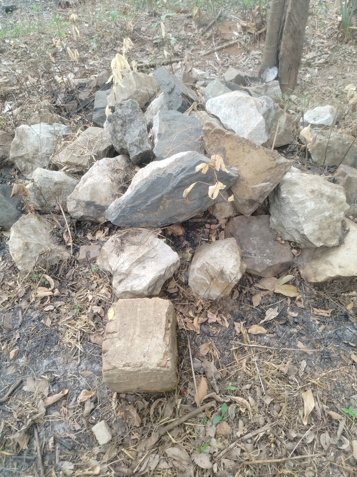 The image depicts a pile of rocks and debris on the ground, consistent with an outdoor environment. The rocks vary in size and color, with some appearing rough and irregular, while others are smoother and lighter in shade. Dry leaves, twigs, and sparse green vegetation are scattered among the rocks, suggesting a natural or unkempt setting. In the foreground, a rectangular, light-colored brick-like object rests on the ground. The overall impression is one of a dry, possibly arid, outdoor area, with elements that could be found in a natural landscape or a neglected urban space. No people or specific actions are evident.
