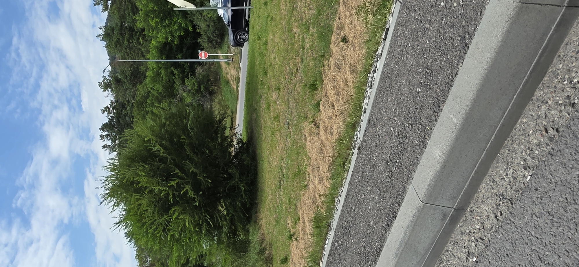 The image depicts a roadside scene on a clear day with a bright blue sky dotted with white clouds. In the foreground, there is a paved road with a concrete curb and a gravel area alongside it. Beyond the gravel, a patch of dry, light brown grass is visible, interspersed with green. A large, bushy green tree stands to the left of the frame, casting a shadow on the ground. Further back, a paved road curves through a landscape with dense green trees and foliage. A black SUV is parked on the road to the right, and a red circular stop sign is posted on a pole. A lamppost is also visible in the background. The overall impression is a natural setting adjacent to a road, possibly on the outskirts of a city.