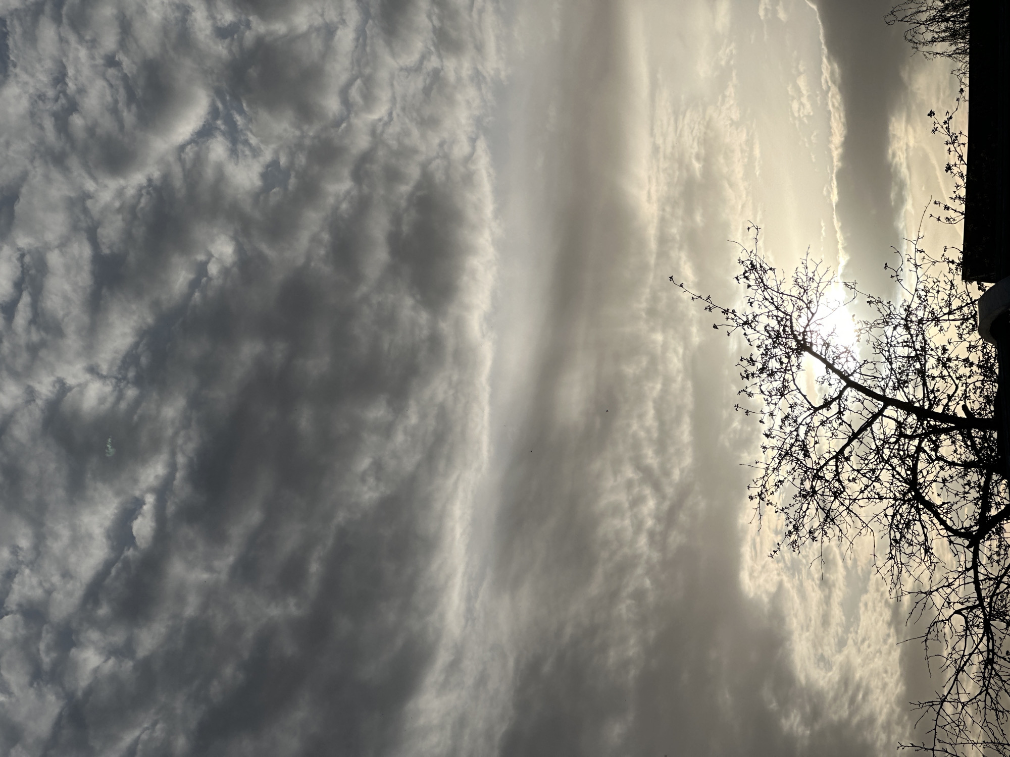 The image shows a sky scene, likely taken in Khokhryaki, Russia, though this cannot be definitively confirmed from the image alone. Dominating the right side of the frame is a silhouetted tree with bare branches, positioned against a bright, diffused light source that appears to be the sun filtered through clouds. The clouds are a mix of dark, textured masses on the left and lighter, striated formations on the right, conveying an overcast or stormy atmosphere. A dark mass in the upper-right corner could be the edge of a building or more dense foliage. The overall impression is one of a late-day or early-morning sky, possibly just before or after sunrise/sunset.