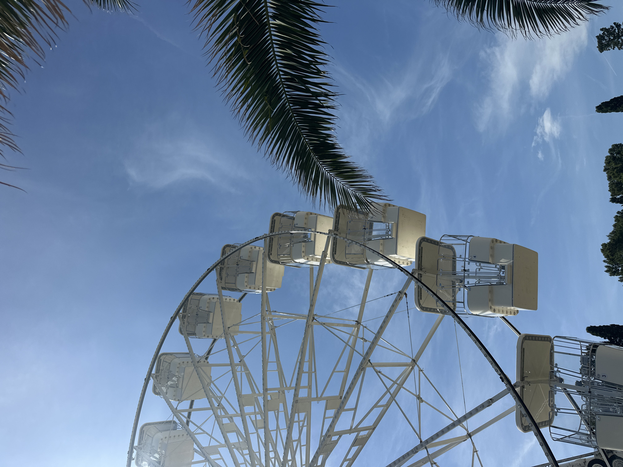 The image, taken from a low angle in Budva, Montenegro, features a Ferris wheel partially framed by palm tree fronds against a blue sky with light cirrus clouds. The white Ferris wheel has enclosed passenger cars and a complex latticework structure. To the right, coniferous trees punctuate the horizon. No people are visible.