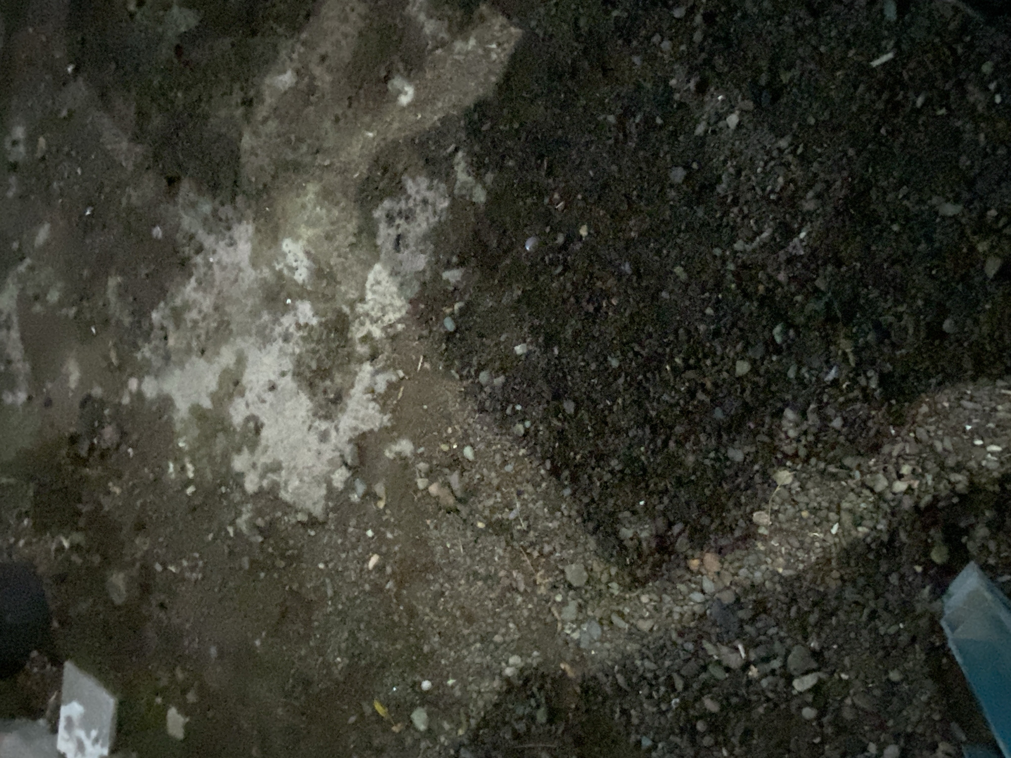 The image shows a patch of dark, wet ground with scattered small pebbles and larger rocks. There are also some lighter-colored, wet patches that appear to be areas of mud or damp soil. The ground is uneven, with shadows cast across it, suggesting it is outdoors. In the lower left corner, a portion of a teal-colored object is visible, possibly a piece of plastic or metal. The scene appears to be an outdoor area in an urban or suburban environment, potentially a yard, alleyway, or unpaved path. There are no people or animals visible in the image. The lighting is dim, indicating it may be dusk or nighttime.
