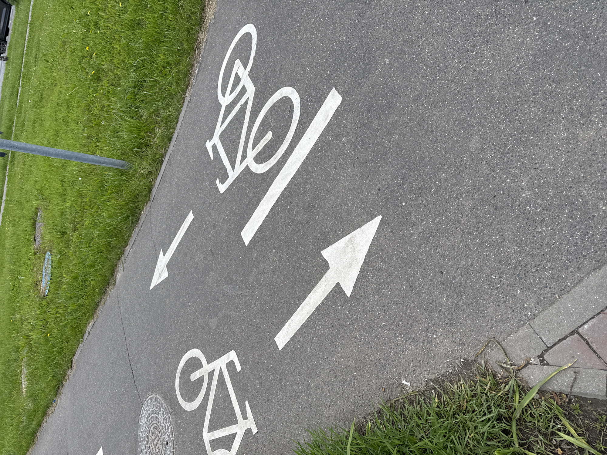 The image shows a section of a bike path. The path is paved with asphalt and features white painted markings indicating the designated direction of travel for cyclists. At the top of the image, there is a bike symbol along with a left-pointing arrow. At the bottom of the image, there is another bike symbol accompanied by a right-pointing arrow. The bike path is bordered by grass. A metal pole is visible on the left side of the image. There is no evidence to conclude the location to be in the city of Moscow, Russia.