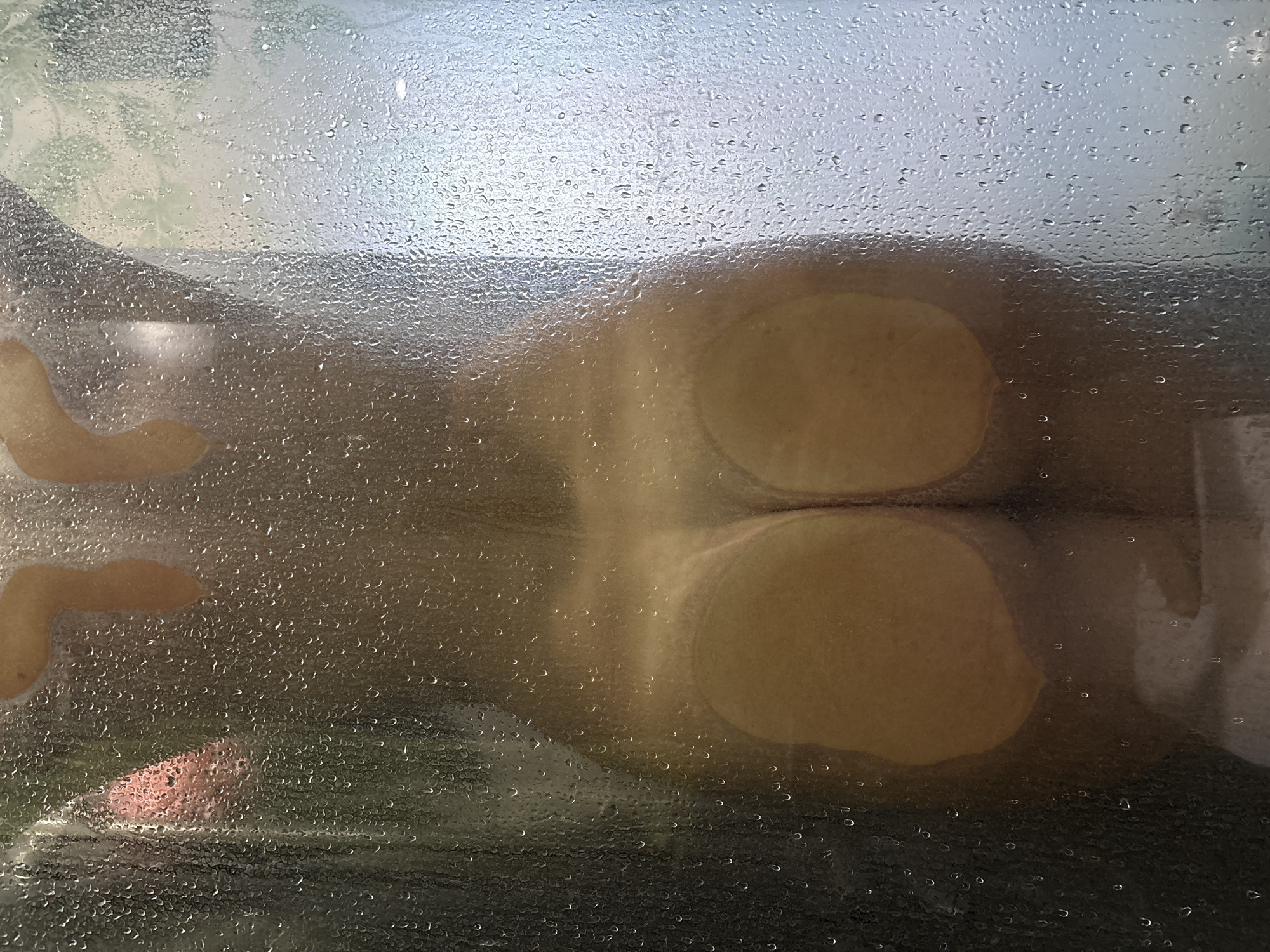 The image shows a steamy shower door with water droplets. Through the glass, the bare buttocks and lower back of a person are visible. The background is blurred, with some green foliage and what appears to be a pink object, possibly a towel or a plant, on the left side. The lighting is soft and diffused, creating a hazy effect. The location in Đà Nẵng, Vietnam, is not discernible from the image itself.
