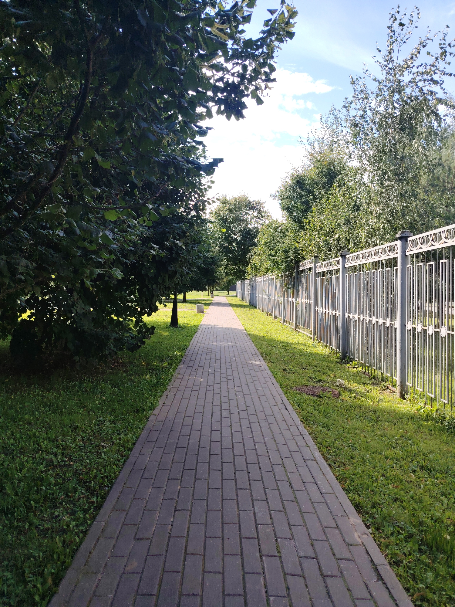 The image shows a straight paved walkway in a park-like setting, likely in the city of Zelenograd, Russia. The walkway is made of gray rectangular pavers and runs into the distance, bordered by a neatly mown green lawn on the left and a decorative metal fence on the right. The fence is composed of vertical bars topped with ornamental finials and decorative circular elements. Lush green trees with full canopies line both sides of the walkway, with some branches casting shadows on the path. Sunlight filters through the leaves, creating dappled patterns on the ground. In the background, more trees and a bright blue sky with scattered white clouds are visible. There are no people or animals present in the scene. The environment appears calm and well-maintained, suggesting a public recreational area.