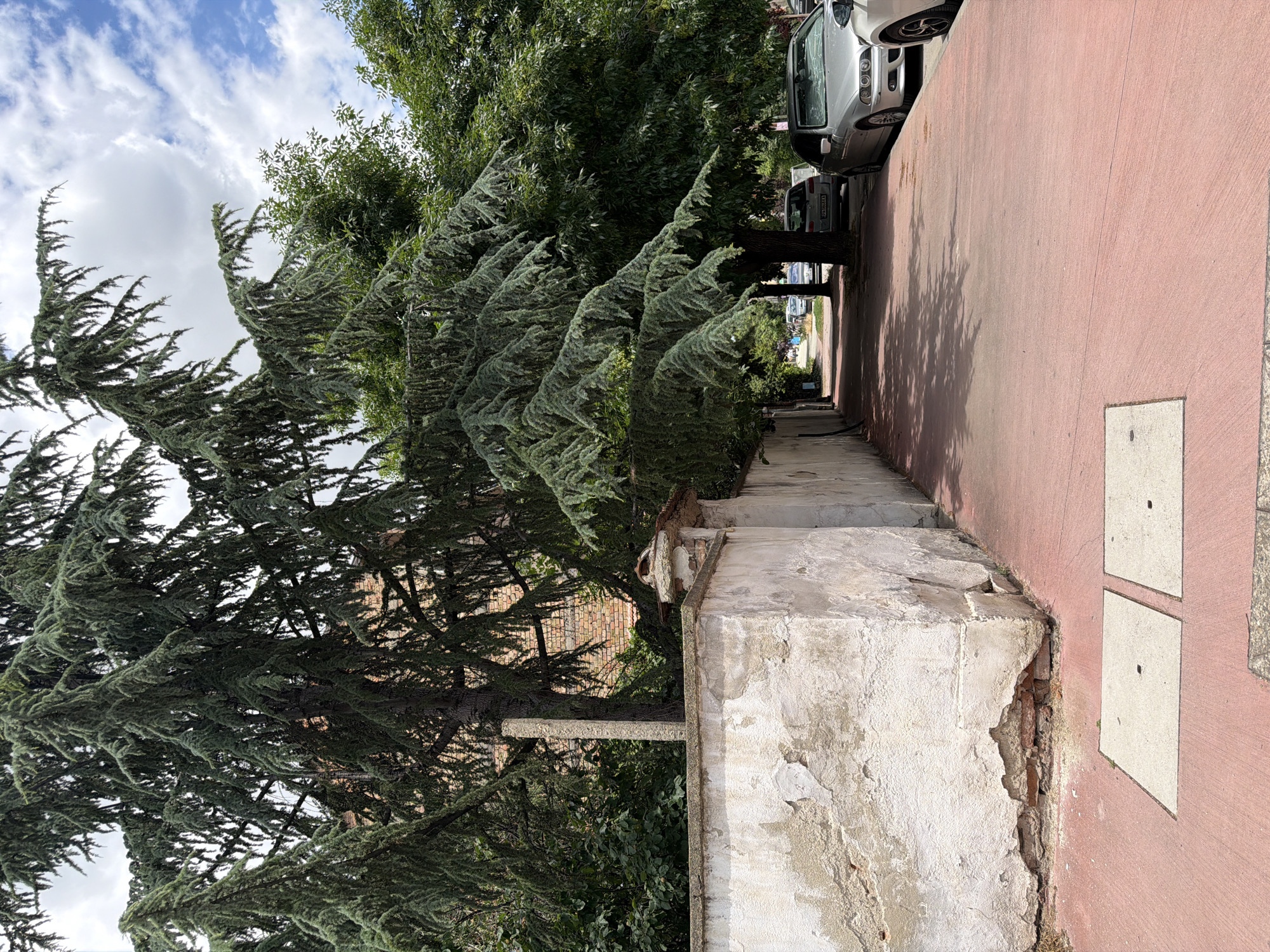 This is a photograph taken in Pazardzhik, Bulgaria, depicting a sidewalk lined with mature trees and a weathered wall. The sidewalk itself is paved with a reddish-pink material, and two square concrete manhole covers are visible in the foreground. To the left, a textured, white wall with areas of chipped plaster and exposed brick runs along the sidewalk. Behind the wall, dense green foliage and the brick structure of a building are visible, partially obscured by the branches of large evergreen trees. The trees, with their distinctive drooping branches and needle-like leaves, cast dappled shadows onto the sidewalk. On the right side of the sidewalk, several cars are parked. The sky above is a mixture of blue with scattered white clouds. The overall impression is that of a shaded, somewhat aged urban streetscape.