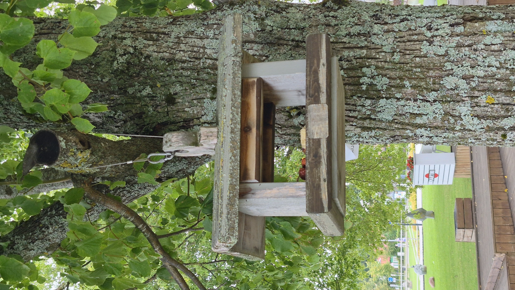 An eye-level, close-up shot shows a weathered wooden bird feeder hanging from a large tree. The tree has rough, moss-covered bark. The bird feeder is rectangular with an open bottom and a slanted roof. Inside the feeder, a small amount of food, possibly fruit and bread, is visible. To the right of the tree, a portion of a white planter box with a red and white "MARTINI" logo is visible. Beyond the planter, a green lawn is visible with a white fence and some decorative stone sculptures. In the distance, there are some buildings and trees, suggesting an outdoor public space. The overall impression is one of a park or recreational area in Zarasai, Lithuania.