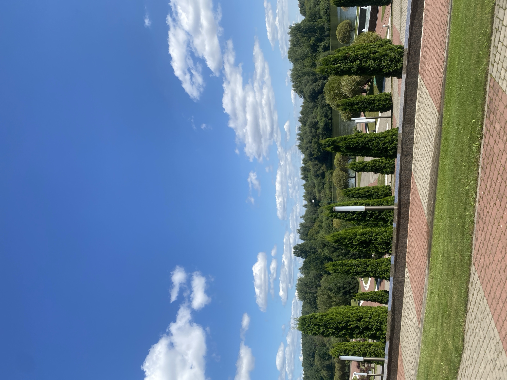 The image depicts a scenic view of the Svislach River embankment in Minsk, Belarus, on a clear, sunny day. The foreground features a neatly mowed lawn bordered by a paved walkway made of red and beige interlocking bricks. Beyond the walkway, a row of tall, conical green trees stands against a backdrop of lush green foliage and a tranquil river. The trees are strategically placed, creating a sense of order and symmetry. In the distance, the river flows gently, reflecting the bright blue sky dotted with fluffy white clouds. The embankment appears to be a well-maintained public space, likely a popular spot for recreation and relaxation. The overall atmosphere is peaceful and serene, showcasing the natural beauty of Minsk.