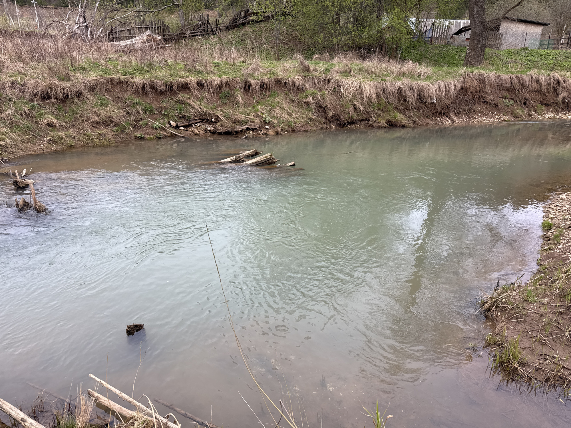 This media file presents a tranquil, rural scene of a river or stream flowing through a natural landscape, characteristic of Pavlovka, Russia, likely during early spring. The water exhibits a varying color, appearing as a milky grayish-green in the main current, transitioning to a browner, murkier tone closer to the banks. Gentle ripples are visible across the water's surface.
The riverbanks are steep and show signs of erosion, with exposed earth and roots. They are covered predominantly with dry, light-brown grass from the previous season, interspersed with patches of new, vibrant green growth. Numerous pieces of wood, including logs and branches, are scattered along the banks and partially submerged in the water, indicating natural debris.
On the higher left bank, the landscape is densely vegetated with a mix of deciduous trees and bushes. Some trees still appear bare, while others are just beginning to show the first signs of green leaves. Faint outlines of weathered wooden structures, possibly remnants of fences or old buildings, can be discerned blending into the background foliage. The right bank is also lined with trees, many of which are already leafing out. Behind these trees, a rustic, light-colored building, possibly a shed or an outbuilding with a dark roof, is partially visible, along with a simple wooden fence.
The scene conveys a sense of natural tranquility and ruggedness. The time of day appears to be daytime, likely overcast, as suggested by the soft, diffused lighting and the absence of harsh shadows. There are no people visible, nor are any specific activities taking place. No discernible text is present in the image.