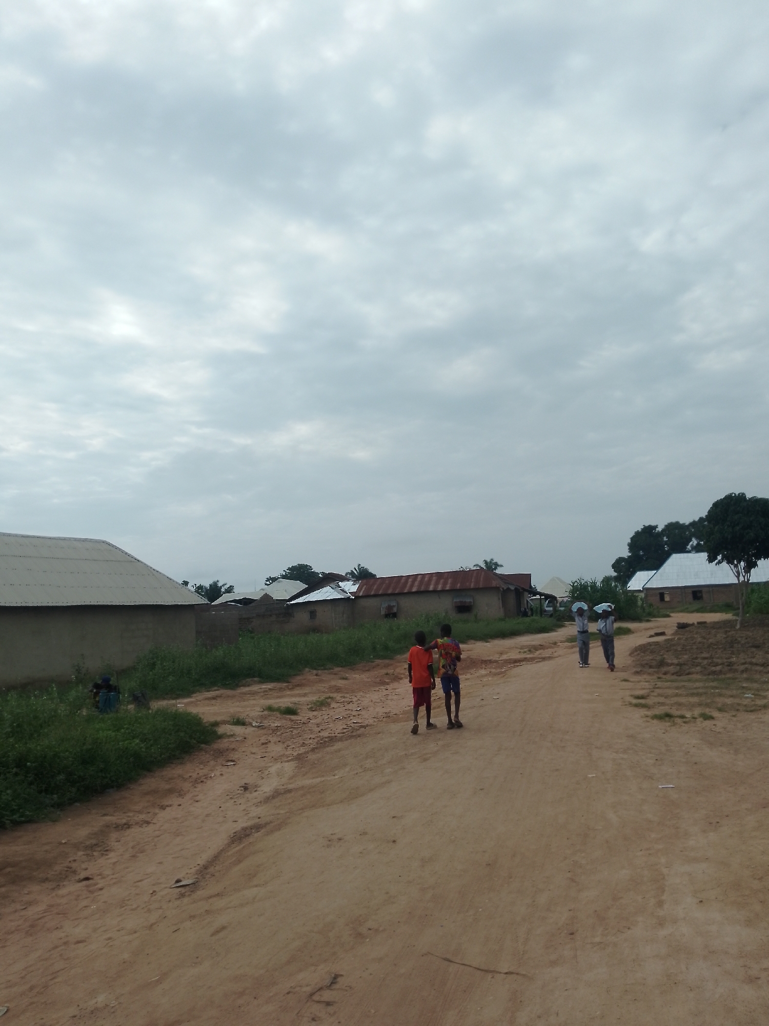 In Serti, Nigeria, a dirt road winds through a village under a cloudy sky. On the left, a long, light-colored building with a corrugated metal roof is partially obscured by lush green vegetation. Further down the road, several smaller, rustic homes with thatched or corrugated metal roofs are visible, surrounded by greenery.
Two young boys, one in an orange t-shirt and red shorts, the other in a colorful patterned t-shirt and blue shorts, walk away from the camera down the center of the road. In the distance, two adults, one in a light-colored shirt and dark pants, the other in a dark shirt and pants, walk towards the camera. Both are carrying white objects balanced on their heads. The ground is composed of reddish-brown dirt, with patches of dry grass and some evidence of cultivated land to the right. Trees, some with dark green foliage, are scattered throughout the scene, particularly on the right side of the road.
