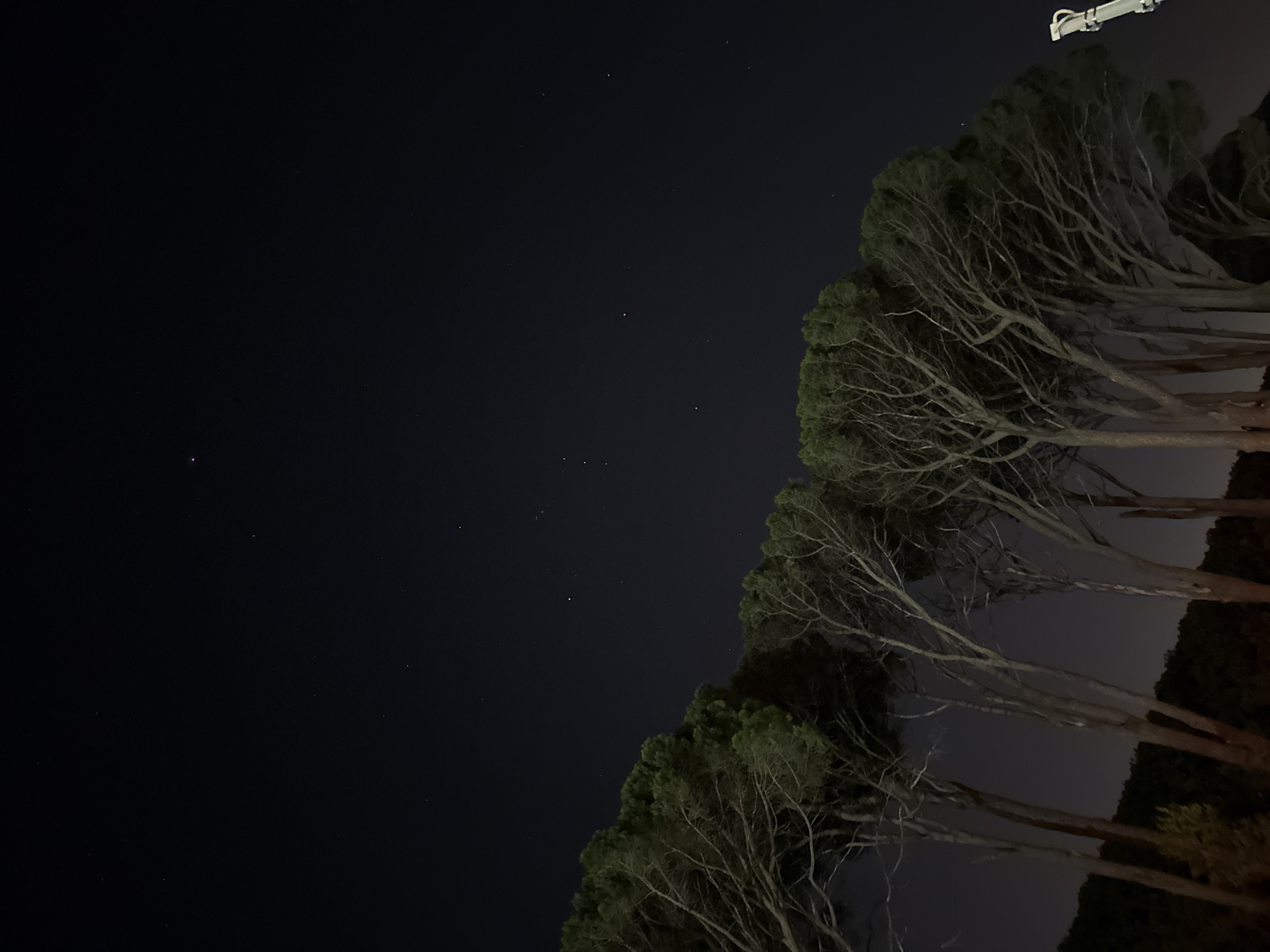 A night-time shot depicts a row of trees lining the right side of the frame against a dark, star-speckled sky. The trees, possibly pine or cypress, have thick trunks and branching patterns, with some green foliage visible. A bright white object sits at the top right corner of the frame. The perspective is a slight upward angle, with the dark sky dominating the left side of the image. The lack of discernible detail suggests that the trees may be located in an urban environment with light pollution, which is consistent with the possibility of being in Cape Town, South Africa, given the type of trees. However, the city's specific location within Cape Town can't be precisely determined.