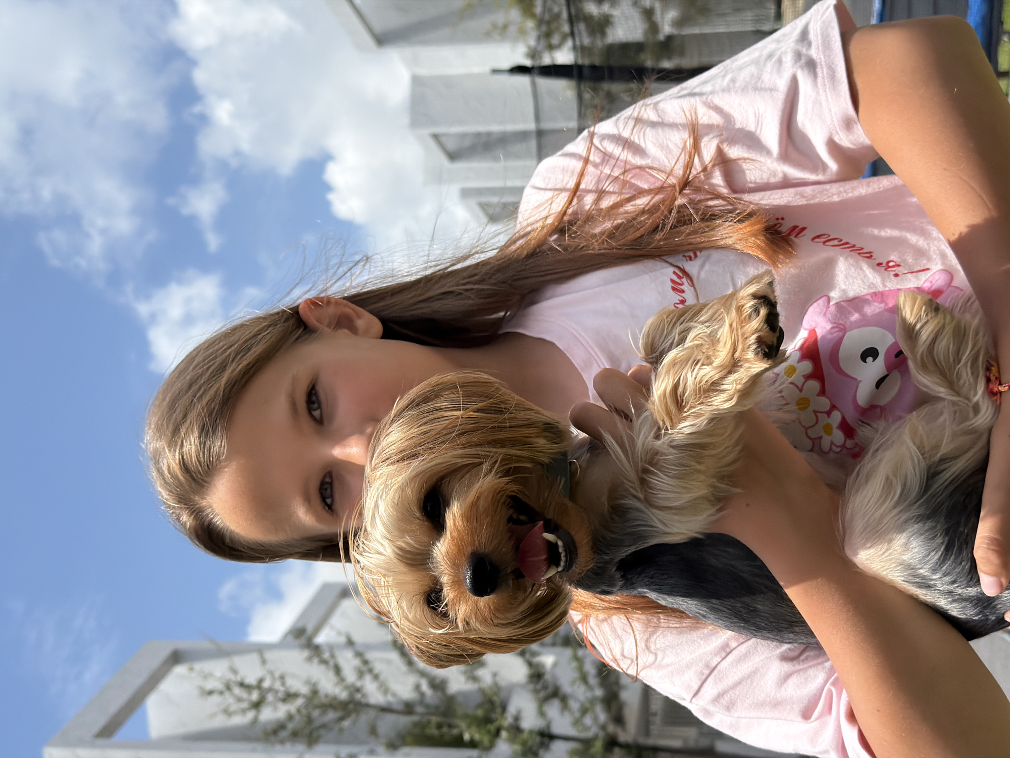 A young girl with long brown hair, wearing a pink t-shirt, holds a Yorkshire Terrier dog in front of her. The dog has its mouth open, tongue visible, and is looking towards the camera. The girl's face is partially obscured by the dog. In the background, there are modern white buildings and a clear blue sky with some clouds. The setting appears to be outdoors, possibly in a residential area or public space in Thep Krasatti, Thailand.