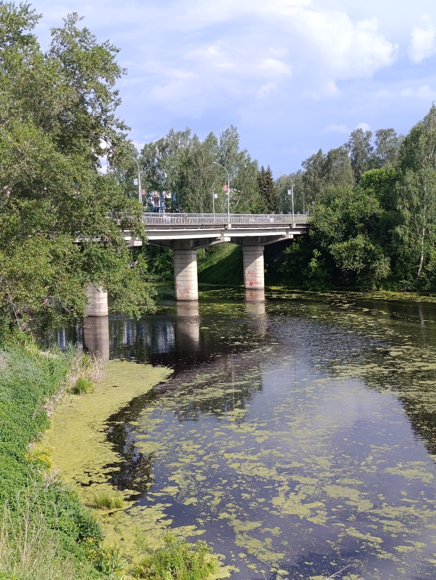 The image shows a bridge spanning a river in the city of Tara, Russia. The bridge is made of concrete and has a pedestrian walkway. The river is covered in algae and vegetation. Trees line the banks of the river, and there is a cloudy blue sky overhead. There are no people visible in the image. The bridge supports are visible and have graffiti on them.