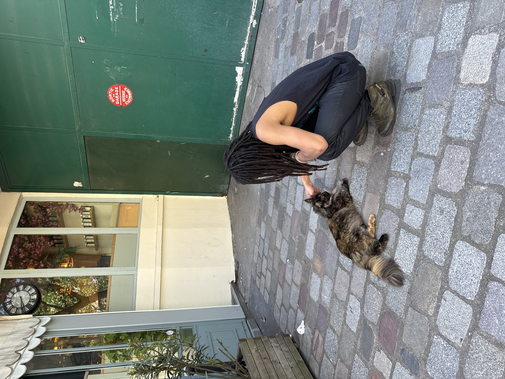 A person with long dreadlocks is crouching and petting a cat on a cobblestone street. The person is wearing a black tank top and dark pants. The cat is a long-haired tortoiseshell. In the background is a green door with a red sign that says "Sortie de Garage Defense de Stationner." The storefront adjacent to the street is reflected in a glass window, and a black clock is visible in the reflection. The scene is set in Paris, France.