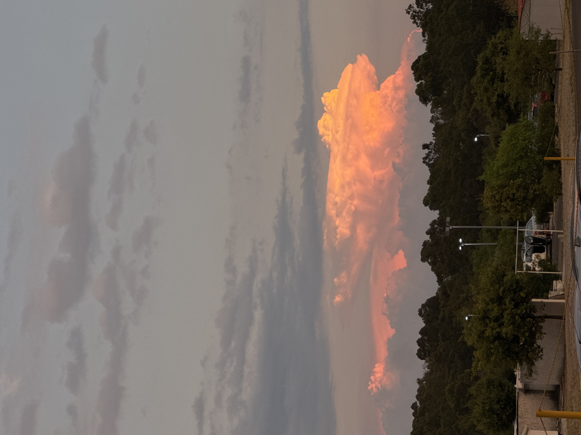A vertical view shows the sky and the tops of trees and buildings on an overcast day. The sky is a mixture of gray and lighter clouds. A large, towering cloud formation on the right side of the image is tinted a pinkish-orange hue, possibly from the setting sun. The trees below the cloud formation are dark green and form a dense line along the horizon. Along the lower right edge of the image, parts of buildings and streetlights are visible, indicating an urban or suburban environment. The location is Heroica Puebla de Zaragoza, Mexico.