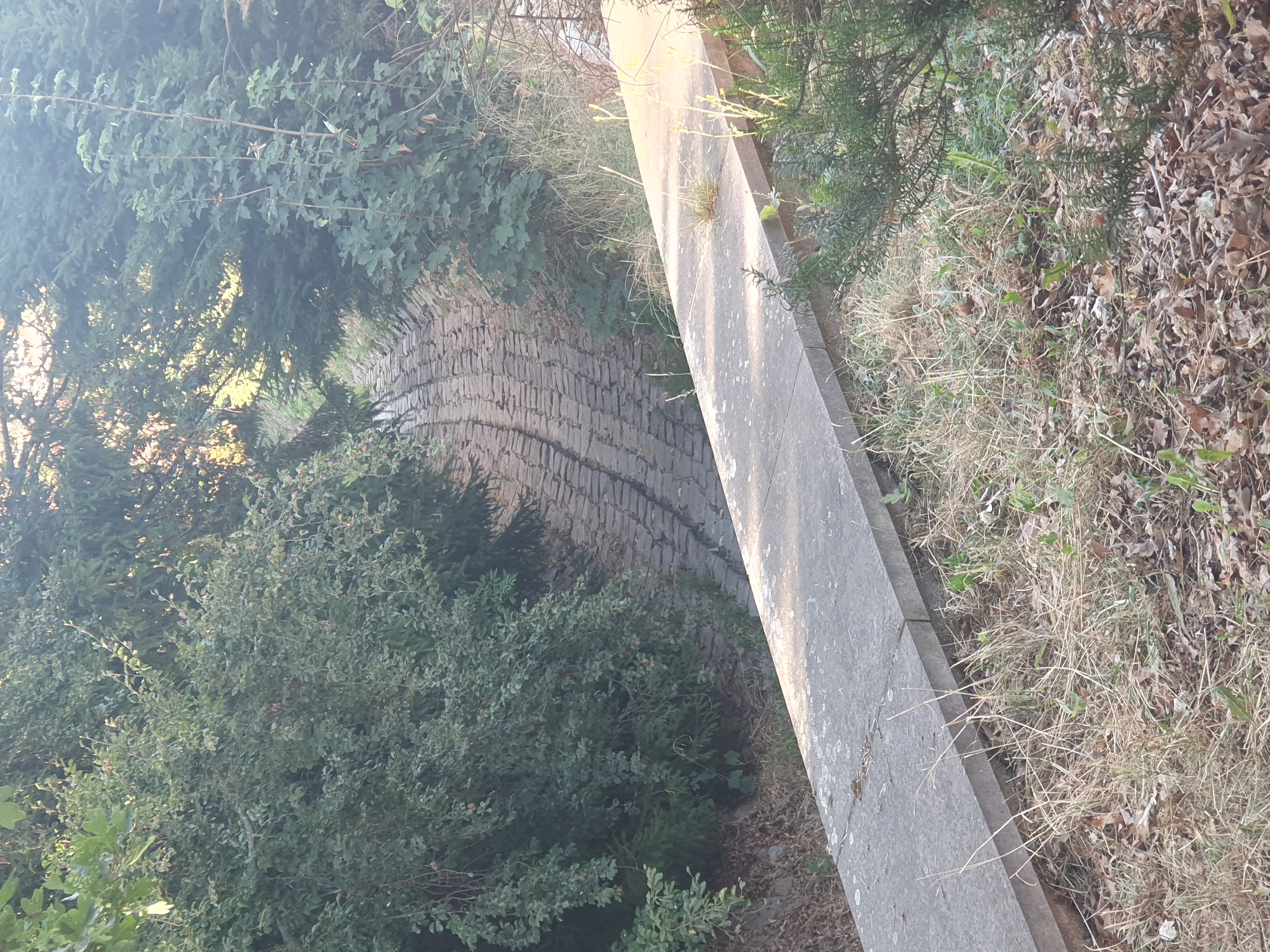 The image shows a paved pathway winding through dense greenery. The pathway appears to be constructed of irregular stones and shows signs of wear. Overhanging trees and bushes create a shaded environment. In the foreground, a concrete wall or ledge runs parallel to the pathway, with dry grass and fallen leaves on the ground below it. The scene suggests a naturalistic, possibly historical, setting within a park or wooded area. The location is identified as Leinatal, Germany.