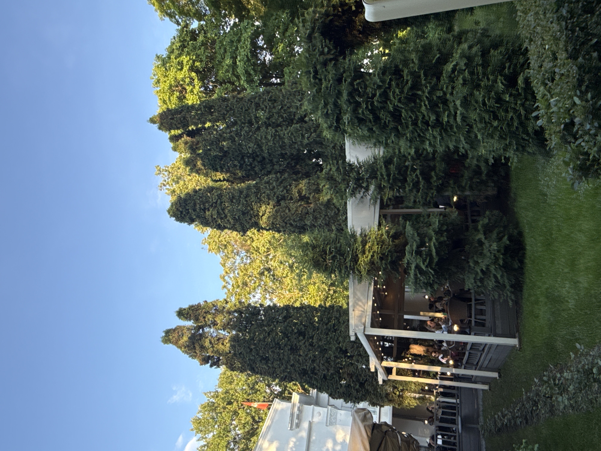 The image captures an outdoor dining or lounge area, likely belonging to a restaurant or cafe, set amidst abundant greenery under a clear blue sky. The scene is dominated by tall, dark green coniferous trees, possibly cypresses, with lighter green deciduous trees visible behind them, illuminated by sunlight.
Multiple white or light-colored patio structures with awnings or pergolas are present, under which various groups of people are seated at tables and chairs. These areas are adorned with warm, yellow string lights, which are illuminated despite the visible daylight, suggesting it is late afternoon or early evening. The people appear to be dining, socializing, and relaxing in the open air. Their specific activities and emotions are not clearly discernible due to the distance, but the overall atmosphere seems pleasant and leisurely.
To the right of the structures, a well-kept lawn of green grass extends, bordered by dense bushes and smaller plants. On the far left, a portion of a white building with architectural details is visible, featuring what appears to be a small red flag. No discernible text is visible on any signs or objects within the frame. Given the provided context, the location is Moscow, Russia.