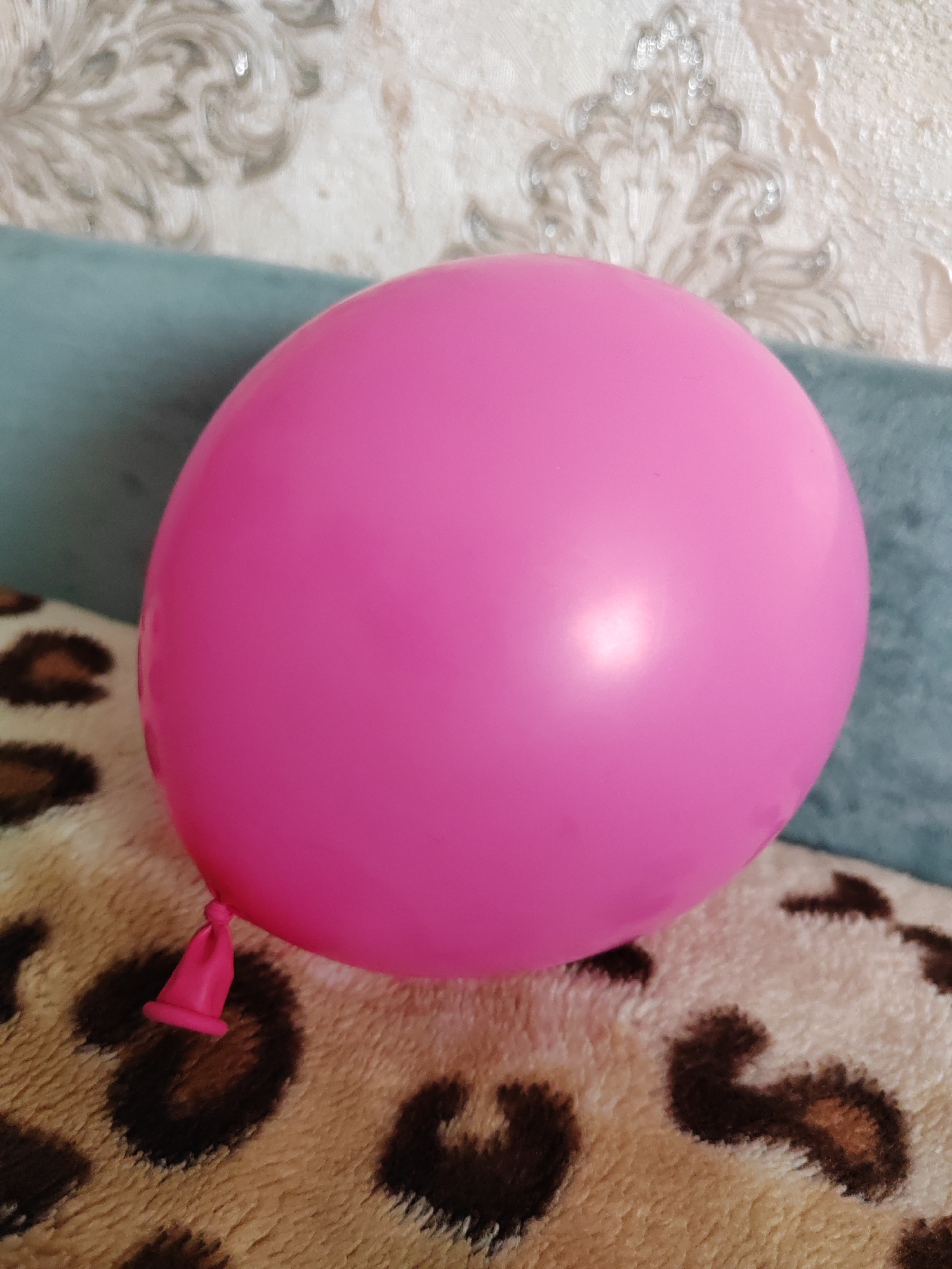 A single, inflated pink balloon occupies the central foreground of the image, resting on a textured surface. The balloon has a smooth, slightly reflective surface with a visible highlight on its upper right side, indicating an overhead light source. Its knotted base is visible towards the bottom left.
The balloon is positioned on a light-colored, fluffy blanket or rug featuring a distinct leopard print pattern with dark brown and tan spots. Behind the balloon and the patterned fabric, a section of a plain blue-green fabric, possibly a sofa or cushion, is visible.
In the background, a wall covered with light-colored wallpaper can be seen. The wallpaper has an intricate, ornate pattern, possibly in shades of grey or silver, against an off-white or cream background.
The scene appears to be indoors, likely in a living space. There are no people visible, and no specific activity or event is actively taking place, suggesting the balloon is simply at rest. The lighting seems to be ambient indoor light. There is no visible text in the image.