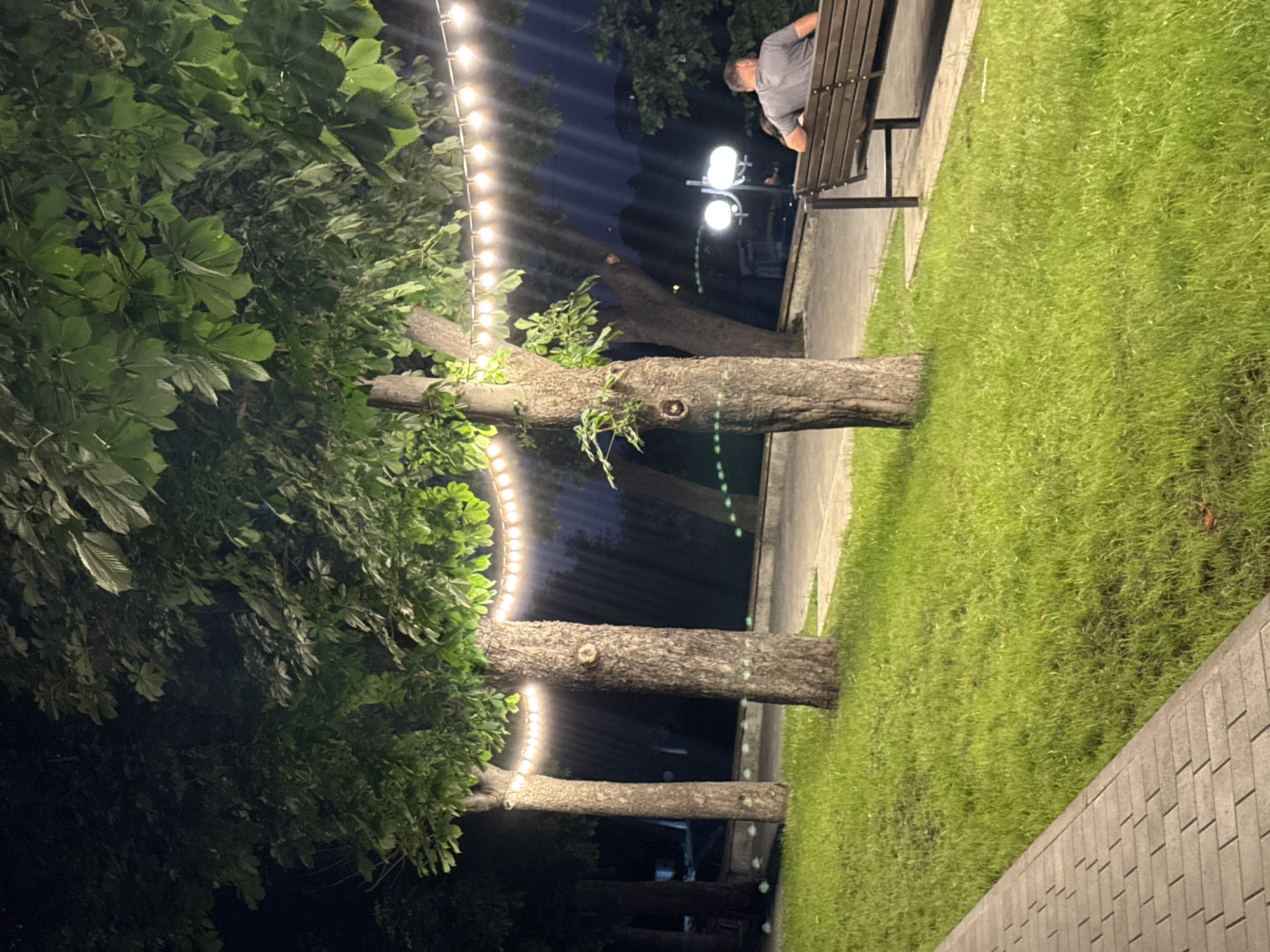 This image depicts a park scene at night, possibly in Novokuli, Russia. The foreground is dominated by the lush green leaves of a large tree, with visible branches and trunks extending into the frame. A string of warm, illuminated lights is draped around some of the tree trunks, adding a festive atmosphere.
Further back, a paved walkway runs alongside a well-maintained grassy area. On the walkway, a man is seated on a wooden park bench, facing away from the camera and towards the dark night sky. He is wearing a grey t-shirt. Beside him, a street lamp with two glowing lights provides additional illumination.
The overall impression is one of a peaceful evening in a park, with the ambient light from the string lights and street lamp creating a soft glow. The presence of the trees, grass, and seating suggests a public outdoor space designed for relaxation and enjoyment. The time of day is clearly night, and the weather appears calm, with no indication of rain or wind. There is no visible text in the image.