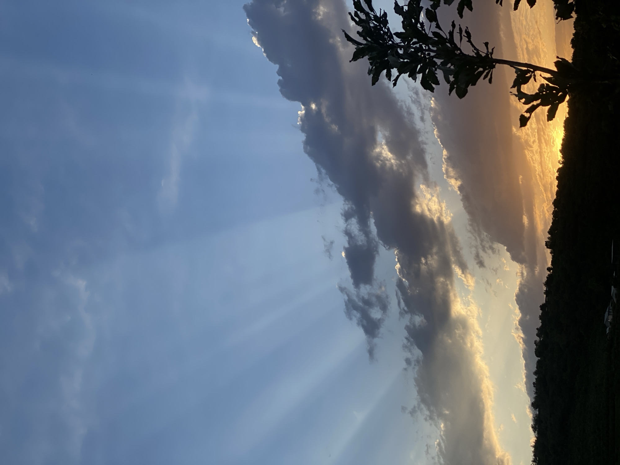The image depicts a dramatic sunset scene in Almaty, Kazakhstan. The sky is a canvas of shifting colors, with the left side dominated by a soft blue hue, gradually transitioning to a vibrant orange and yellow near the horizon on the right. Streaks of sunlight, known as crepuscular rays, emanate from behind dark, textured clouds, cutting through the lighter sky. These rays create a sense of depth and illuminate the atmosphere.
A silhouetted tree branch with leaves is visible in the upper right quadrant of the image, framing the sky and adding a natural element to the composition. Below the horizon, the silhouette of a dark, forested hillside is starkly visible, its outline softened by the fading light. The overall mood is one of awe and natural beauty, characteristic of a sunset. The time of day is clearly evening, indicated by the low angle of the sun and the rich colors in the sky. No people, objects, or text are discernible in the image. The weather appears clear with scattered cloud formations, contributing to the spectacular visual display.