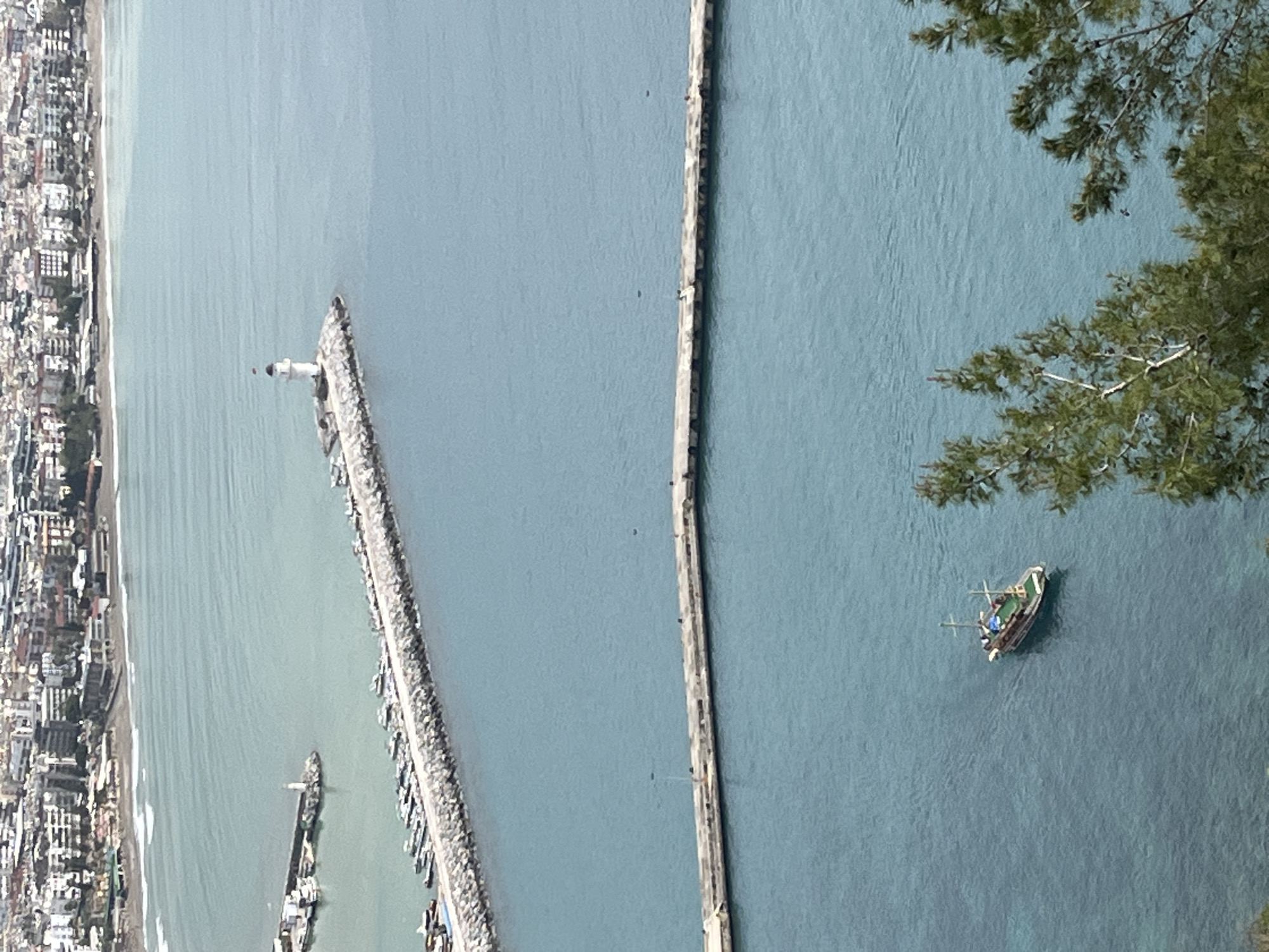 The image depicts an elevated view of Alanya Harbor on the Mediterranean coast of Alanya, Turkey. The scene is dominated by a turquoise-blue sea. A prominent, curved rock breakwater extends from the left, arcing towards the right, forming the outer boundary of the harbor. Numerous small white boats are moored along the inner side of this breakwater. At the seaward end of the breakwater stands a white lighthouse with a red cap.
In the mid-ground, a straight, concrete pier or jetty runs horizontally across the frame. In the lower-middle foreground, a traditional-style wooden boat with two masts and a green-covered deck is underway or anchored in the water. The lower right foreground contains green foliage from trees, partially framing the view.
The distant background features a dense urban cityscape with numerous buildings lining a sandy beach and the coastline, indicating a developed city. The water surface exhibits minor ripples near the distant shore and appears calm closer to the foreground. No discernible human figures are visible at this distance.