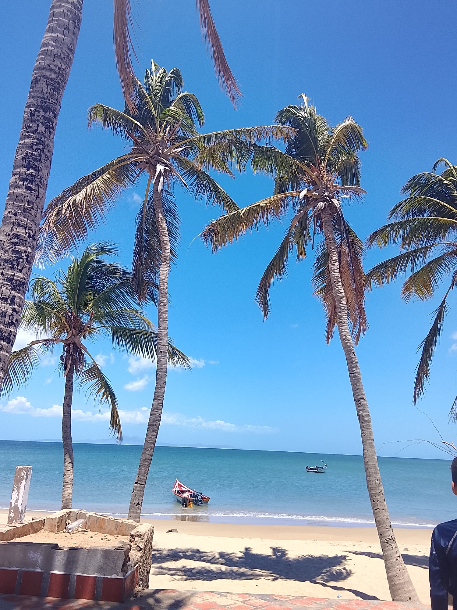 This vibrant image captures a sunny beach scene in Juan Griego, Venezuela, during what appears to be midday or early afternoon. The sky is a brilliant, clear blue with only a few wispy white clouds on the horizon, indicating excellent weather.
The foreground is dominated by a sandy beach with several prominent palm trees framing the shot, their tall trunks and lush green fronds reaching towards the sky. Some fronds are drier and brownish. Strong shadows of the palm trees are cast across the sand. On the left side of the beach, there are some weathered concrete structures, possibly remnants of a wall or planter, with sand visible inside one of them.
In the midground, the calm, light blue-green ocean meets the shore with gentle waves. A small, dark-hulled boat with a distinctive red and white patterned canopy is partially beached or very close to the water's edge on the left. A person is visible near this boat, seemingly attending to it or disembarking. Further out in the water on the right, another smaller, white-hulled boat is visible, appearing to be anchored or moving slowly. On the far right edge of the frame, the back of a person wearing a dark blue long-sleeved top is visible, partially cropped out.
In the background, a low-lying landmass or distant hills can be seen across the expanse of the sea, blending into the clear blue sky. The overall impression is one of a peaceful tropical day, likely involving leisure or fishing activities.