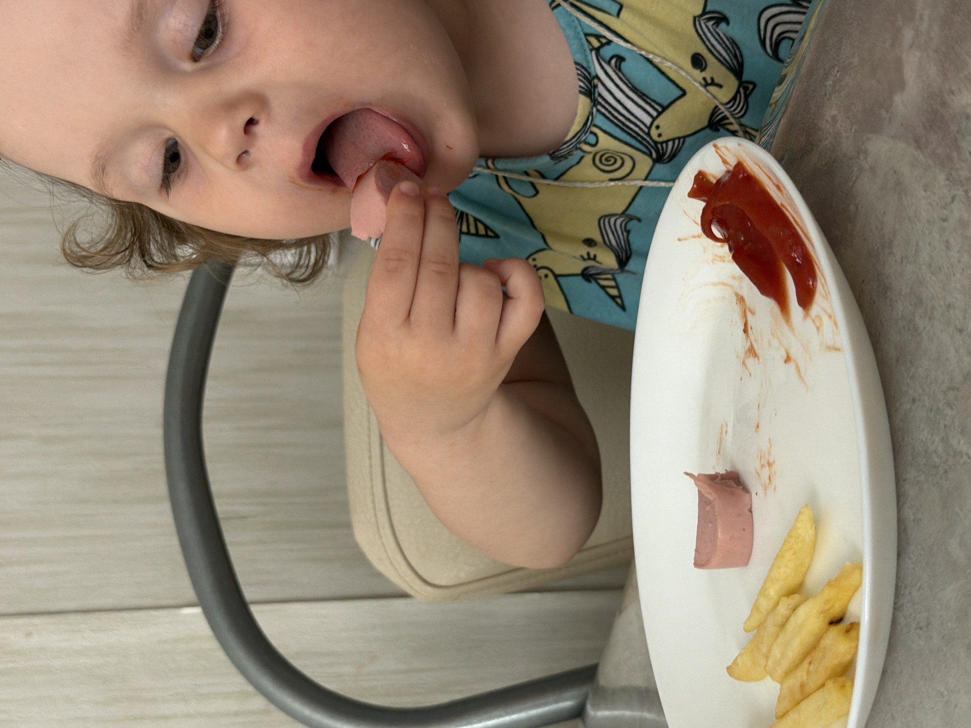 A young child with fair skin and light brown hair is eating a piece of processed meat, possibly sausage, from a white plate. The child is wearing a light blue shirt with a pattern of unicorns. The plate also contains french fries and ketchup. The child is sitting in a chair with a gray metal frame. The background appears to be a light-colored, possibly wooden, surface. It is not possible to verify the location as Chaikovsky, Russia.