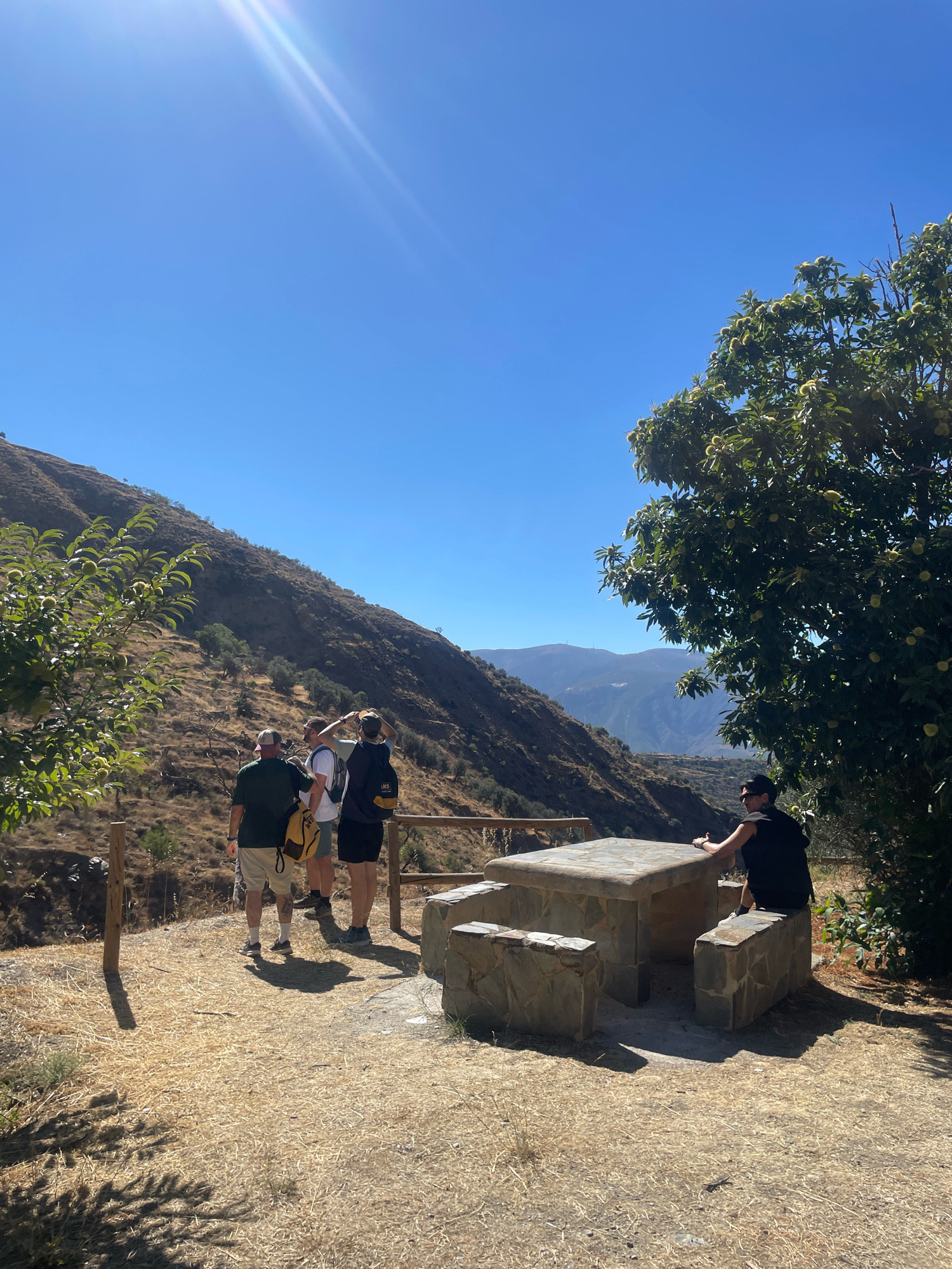 A group of four individuals are positioned in a scenic outdoor setting, under a clear blue sky with the sun casting a bright glare. The environment appears to be a mountainside with dry, yellow grass covering the ground. In the foreground, a stone picnic table with attached benches is situated. One person, wearing a black sleeveless shirt and sunglasses, is seated on the edge of a bench facing away from the camera.
Behind the picnic table, three other individuals are standing. The person on the far left is wearing a green t-shirt, beige shorts, and a baseball cap, with a yellow backpack slung over their shoulder. Next to them is a person in a white t-shirt and light-colored shorts. The third person, on the right, is wearing a dark t-shirt with a yellow backpack and dark shorts. They are all facing towards the mountainside, with one of them appearing to take a photo or gesture towards the view.
A wooden fence runs along the edge of the elevated area where the picnic table and people are located. Beyond the fence, a steep, dry, mountainside is visible, dotted with sparse vegetation and trees. In the distance, layers of mountains stretch out under the bright sky. A large tree with green leaves and what appear to be fruits or nuts is on the right side of the frame, casting a shadow. The scene suggests a location in a mountainous or hilly region, possibly a park or viewpoint area. Given the description mentions Lanjarón, Spain, this is likely a spot within or near the town's natural surroundings, known for its mountainous landscape and Mediterranean climate.