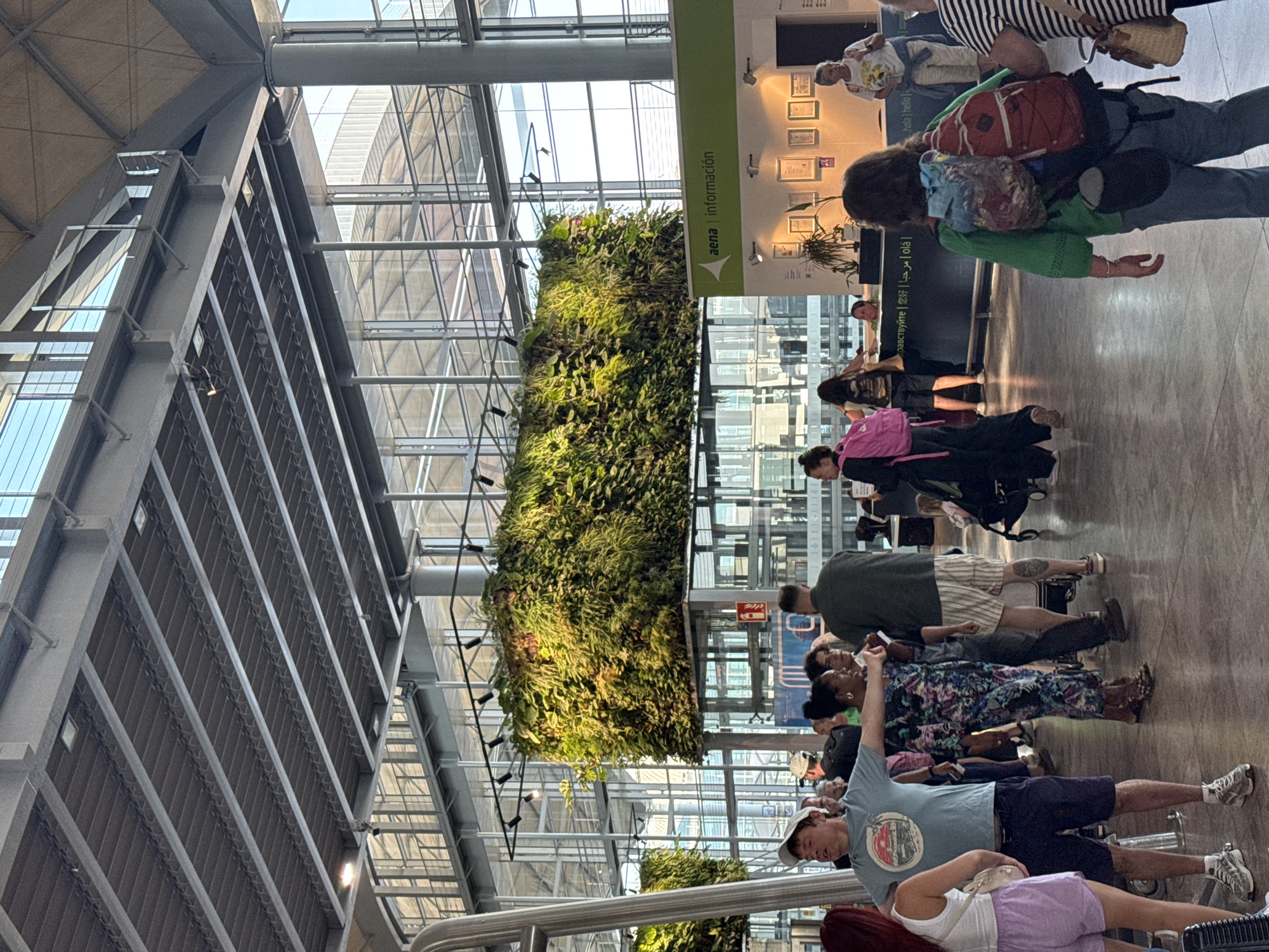 The image depicts the interior of an airport terminal, likely Elche Airport (Alicante-Elche Miguel Hernández Airport) in Elx/Elche, Spain, given the presence of the "AENA" signage which is the Spanish airport authority. The terminal features a modern architectural style with high ceilings, a visible steel structure, and large glass windows allowing natural light to filter in. A prominent feature is a large, vibrant living wall of plants suspended from the ceiling, adding a natural element to the built environment.
In the foreground, a group of people are seen navigating the terminal. To the left, a man wearing a light blue t-shirt and dark shorts stands with his arms outstretched. To his right, a woman in a colorful floral jumpsuit is looking to her right. Other individuals are visible in the midground, some with luggage, suggesting they are either arriving or departing passengers. One person is pushing a stroller.
In the background, there is an information desk with "AENA | Información" clearly displayed. Several framed pictures are mounted on the wall behind the desk, and a plant sits on the counter. A woman in a white t-shirt with a pattern on it is standing at the desk, seemingly interacting with staff. The overall atmosphere appears to be busy but orderly, typical of an airport environment. The floor is a polished, light-colored material.