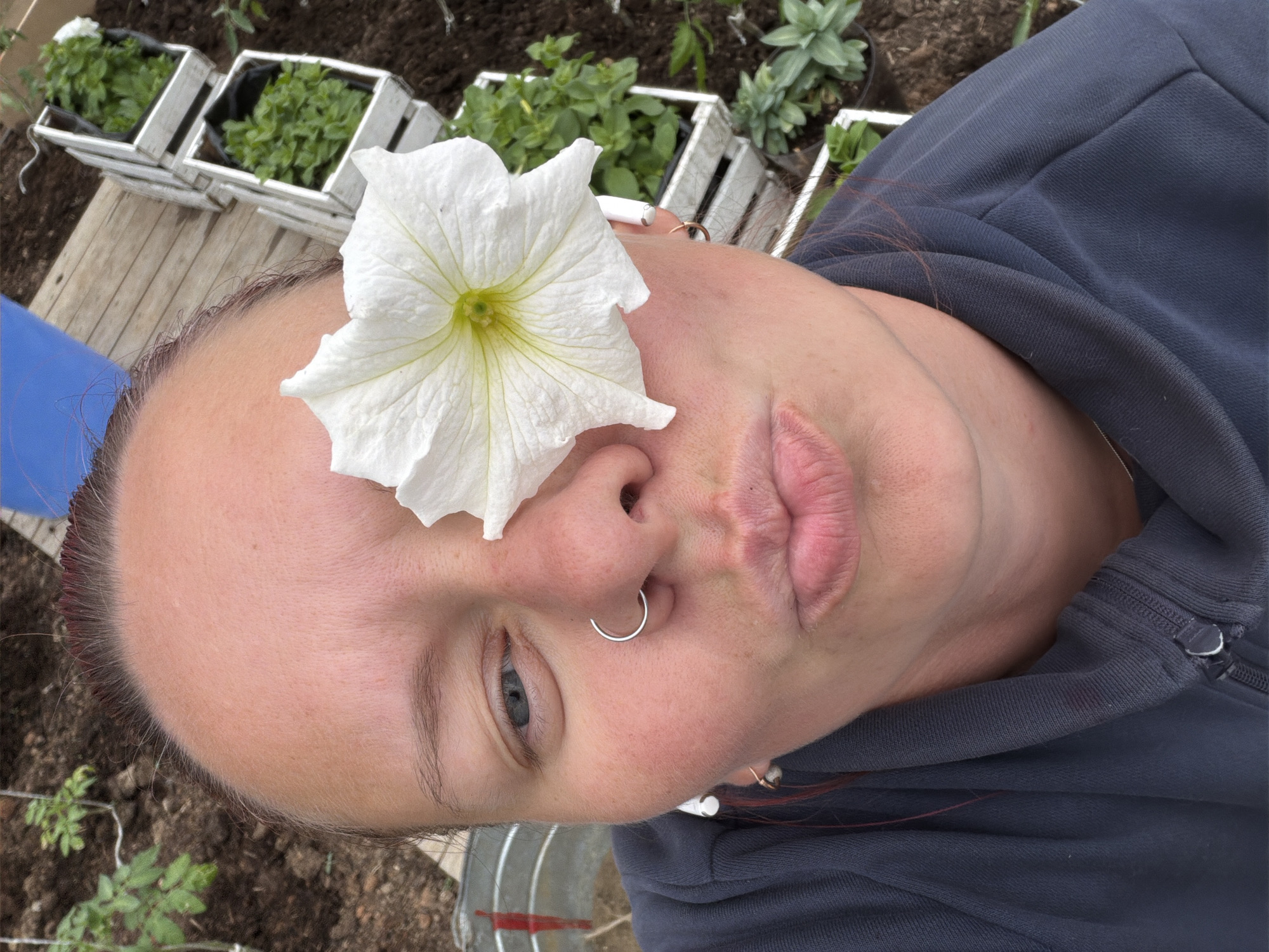 The image shows a close-up portrait of a person with a white petunia flower positioned on their forehead, near the nose. The person has fair skin, light eyes, and a silver nose ring. They are wearing a dark-colored hooded sweatshirt. In the background, partially visible, are several small wooden planters with green plants, and dark soil is visible in the periphery. The specific location in the city of Chaikovsky, Russia is not determinable from the visual information provided.
