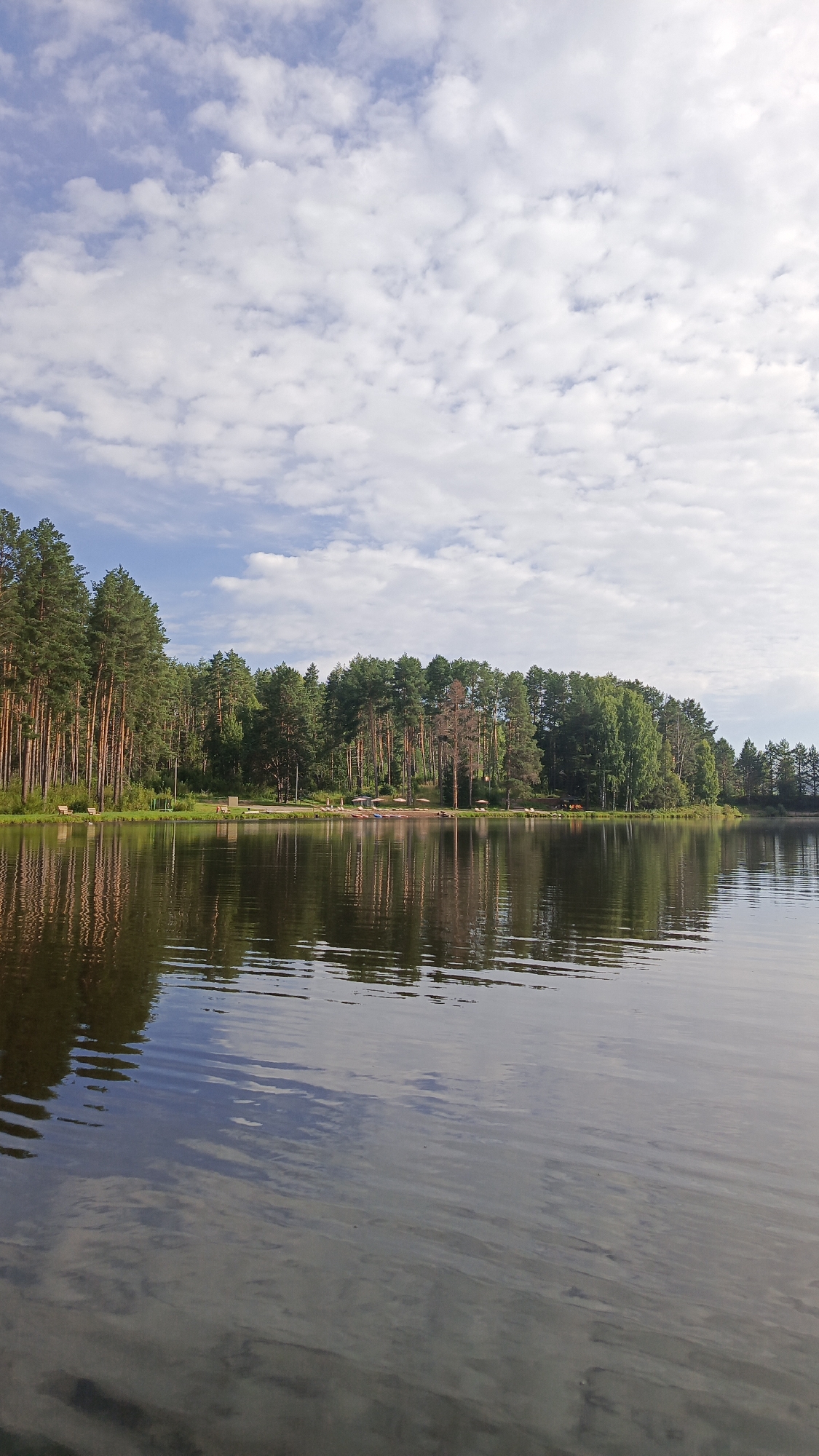 This is a vertical, eye-level, outdoor photograph of a calm lake reflecting a shoreline lined with coniferous and deciduous trees. The sky is partly cloudy, with puffy white clouds against a light blue background. The water in the foreground is dark and reflects the sky and trees. Along the distant shore, there is a narrow strip of green grass, and a few small, light-colored structures that appear to be gazebos or shelters, some with umbrella-like coverings. Several umbrellas and what seem to be lounge chairs are visible along the beach area. A path or road runs along the shoreline behind the trees, and several benches are scattered along it. The trees are dense, with tall, thin trunks of pine trees dominating the left side of the image and a mix of deciduous trees on the right. The overall scene suggests a peaceful, natural setting, likely a recreational area. The location is identified as Мишкино, Russia.
