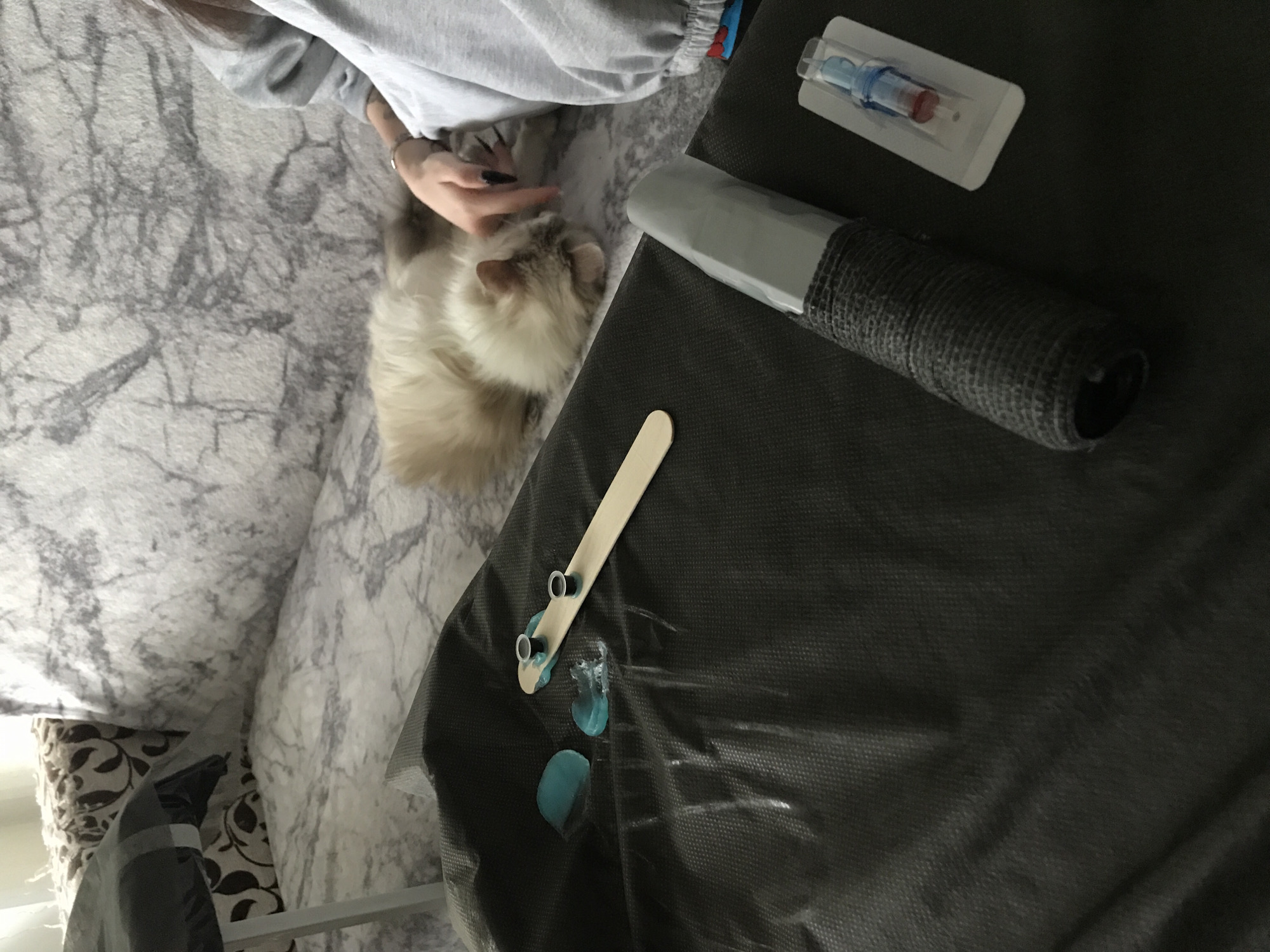 The image depicts a domestic scene, featuring a light-colored cat resting on a gray and white patterned sofa next to a person wearing a gray sweatshirt. Adjacent to the sofa is a dark gray surface on which several objects are arranged: a capped needle, a gray tube wrapped with dark gray mesh, and a wooden stick with two small metal objects adhered to it with blue material, along with several blobs of the same blue material nearby. The lighting suggests an indoor environment, with daylight filtering in. The location is unspecified.