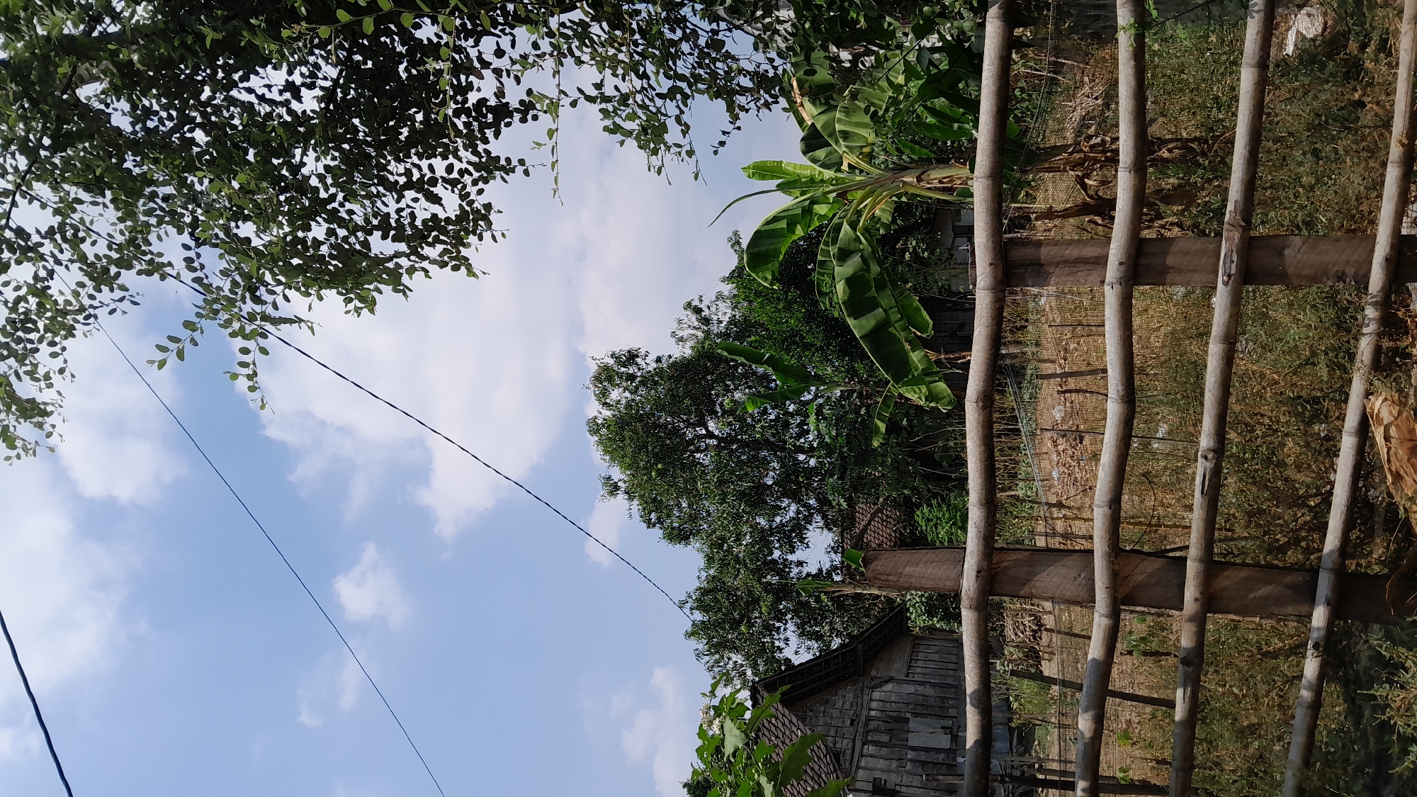 This is a medium-shot, outdoor photograph taken in Sumberarum, Indonesia. The scene depicts a rural landscape under a bright, partly cloudy sky. In the foreground, a rustic wooden fence constructed of horizontal bamboo poles is prominent. Behind the fence, a weathered, wooden building with a pitched roof stands on the left side of the frame. Adjacent to it and further back, dense foliage and several large trees dominate the midground. Notably, a banana tree with large, green leaves is visible towards the right side of the frame. Power lines stretch across the upper portion of the image, intersecting the sky. The overall impression is of a peaceful, sunlit day in a village setting.