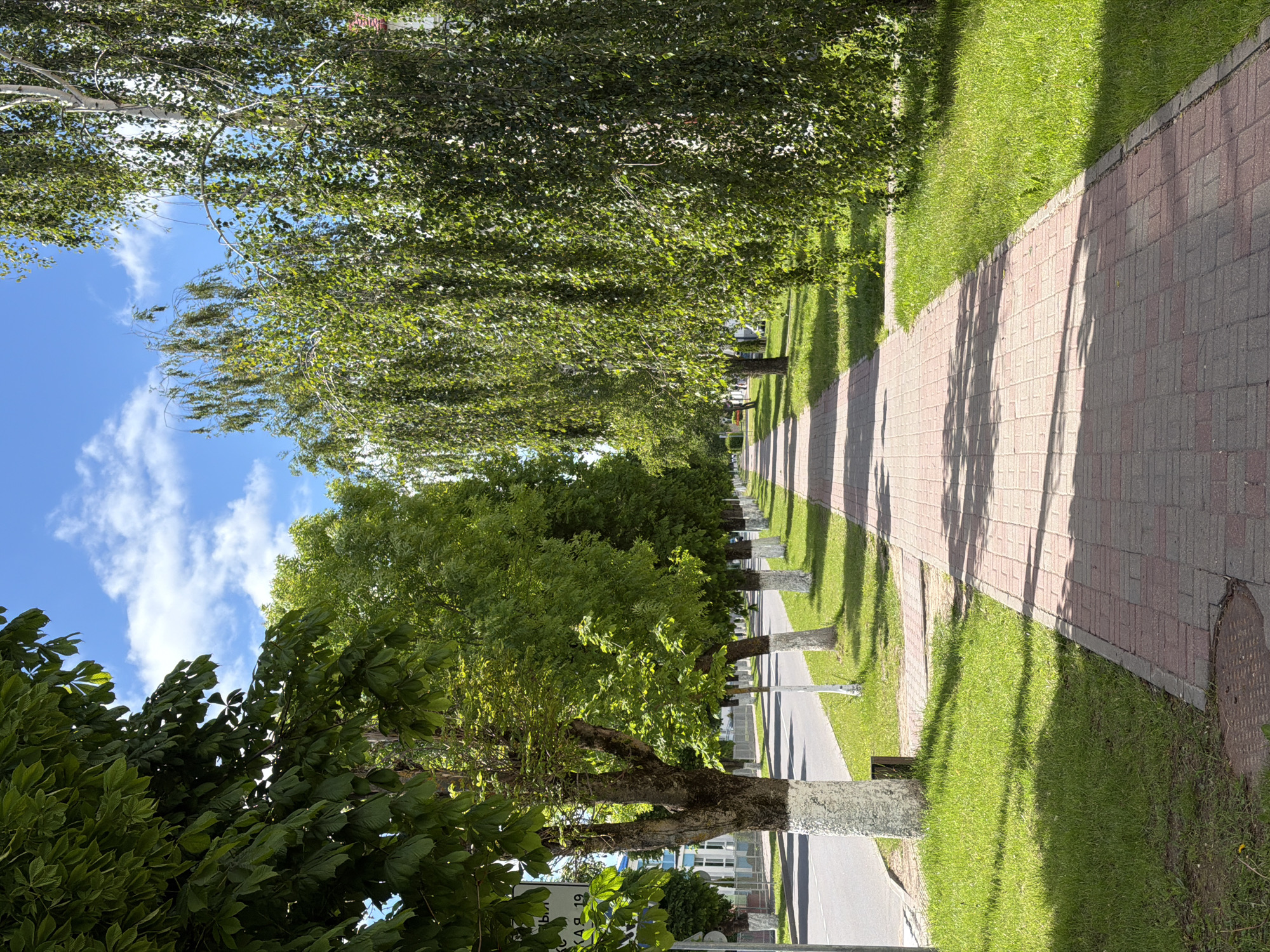 The image shows a long, straight pathway in Valozhyn, Belarus. The pathway is made of red and gray bricks and is bordered by green grass on both sides. Trees line the pathway, casting shadows on the bricks. A street runs parallel to the pathway on one side. The sky is visible between the trees, showing blue sky and white clouds. The picture captures a sunny day in a park-like setting within the city.