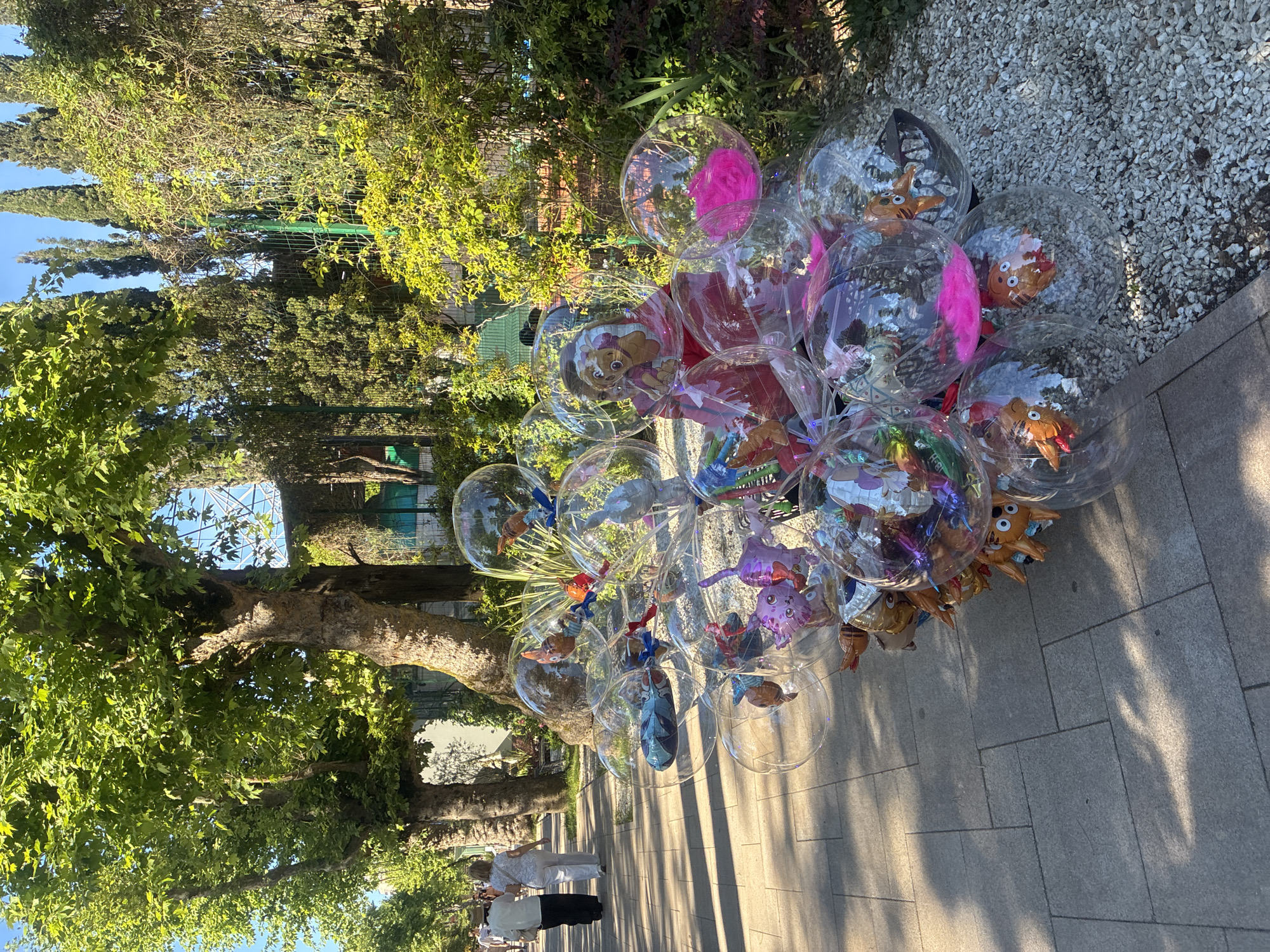 This image, taken in Sochi, Russia, displays a large collection of clear, spherical balloons for sale along a paved sidewalk. Each transparent balloon contains a smaller, colorful foil balloon depicting various characters and objects, such as cartoon figures (including Skye from Paw Patrol), animals like an octopus and fox-like creatures, or decorative elements like pink feathers and tinsel. The balloons are tightly grouped together, suggesting they are being sold or displayed at a street vendor's stall.
The scene unfolds on a sunny day, indicated by the bright illumination and the distinct, elongated shadows cast across the light gray sidewalk. The time of day appears to be either morning or late afternoon. The sidewalk is bordered by lush greenery, including large trees with broad, leafy canopies and thick trunks on the left, and taller, slender evergreen trees and a green fence in the background.
Further down the sidewalk, two people are visible walking away from the viewer. One person is dressed in a white top and black pants, and the other in a white top and white pants. Their faces are not discernible. The overall atmosphere is tranquil and inviting, typical of a promenade or park setting. On some of the balloons, the words "PAW" and "PATROL" are visible, identifying some of the character merchandise.
