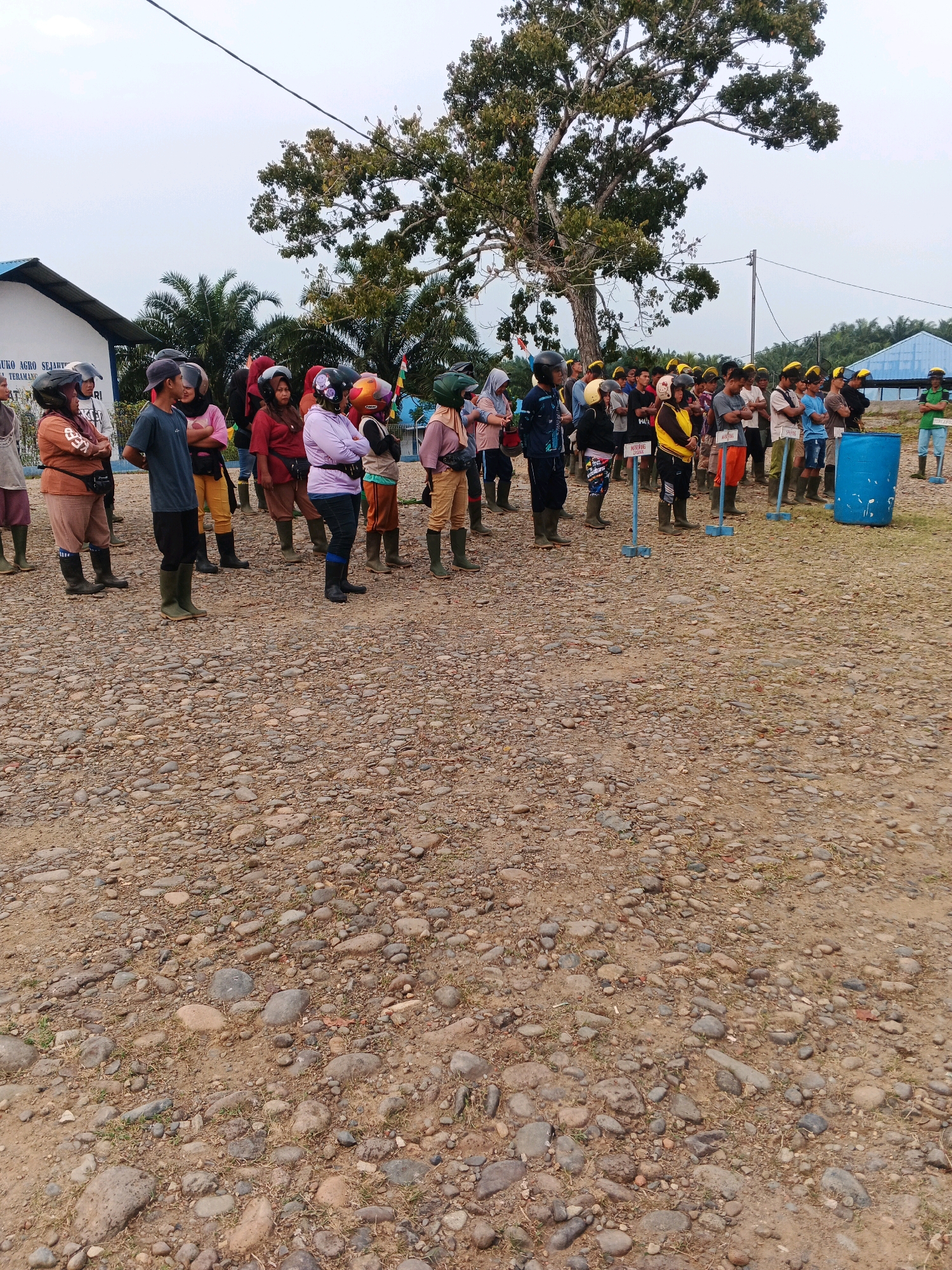 In Batu Ejung, Indonesia, a group of approximately 25 people, a mix of men and women, stand in a line on a gravel and dirt ground. Many are wearing helmets and rubber boots, suggesting they are participating in an outdoor activity or work. The people are casually dressed, with some wearing t-shirts and others wearing long-sleeved shirts. In the background, there is a white building with a blue roof, possibly a community center or office. A large tree with spread branches dominates the middle ground, and palm trees are visible to the left. The sky is overcast, indicating it might be a cloudy day. There are several blue poles with signs in Indonesian, which seem to indicate different stations or areas. A large blue barrel is also present on the right side of the image. The scene appears to be an organized gathering in a rural or semi-rural setting.
