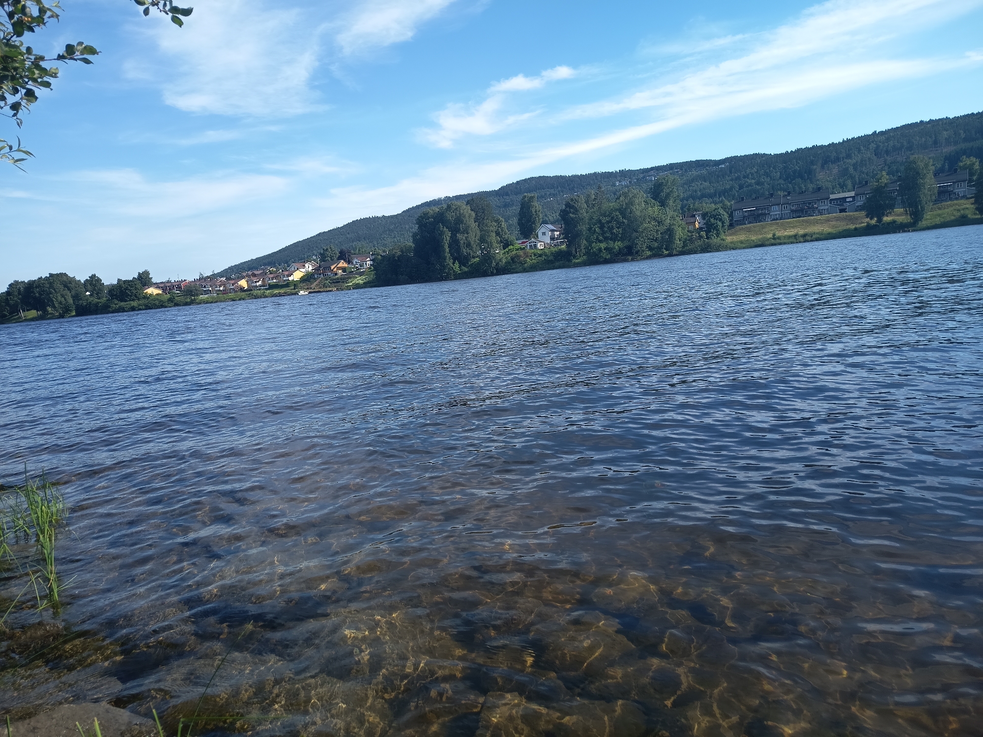 This media file is a landscape photograph taken from the edge of a body of water, likely a river or lake. In the foreground, the clear water allows visibility of the rocky bottom. Some tall green grass is visible on the left bank. The water itself is rippling, with sunlight glinting off the surface.
The middle ground shows a wide expanse of dark blue water, stretching towards a distant shoreline. Along this shoreline, a line of trees and houses is visible, nestled at the base of a densely forested hill. The houses are varied in style and color, suggesting a residential area. The hill rises steeply behind the houses and is covered in a thick canopy of green trees, with some lighter patches possibly indicating clearings or buildings further up.
The sky above is a bright blue, dotted with scattered white clouds. The overall impression is a peaceful, sunny day in a natural setting with a human settlement integrated into the landscape. The lighting suggests it is daytime, likely mid-morning to afternoon, given the clear and bright conditions. There is no visible text in the image.